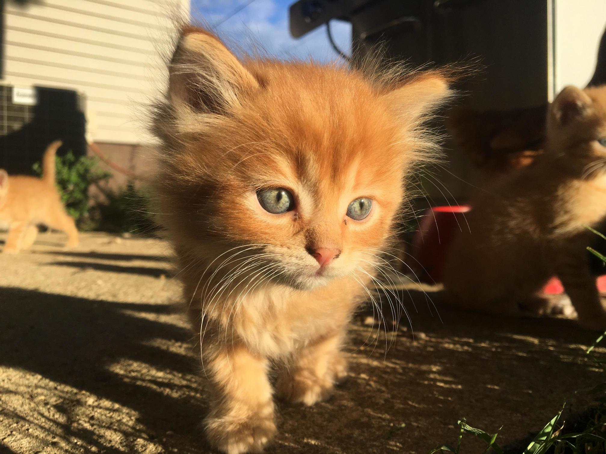 Cuteness Overload.
