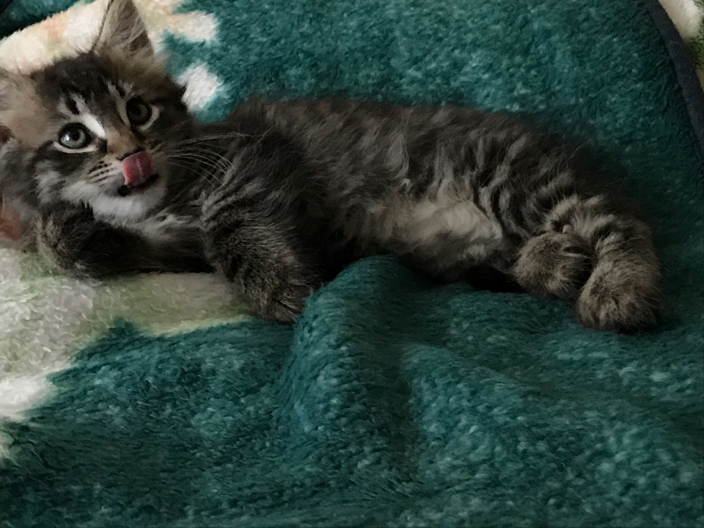 Draw Me Like One of Your French Girls Jack