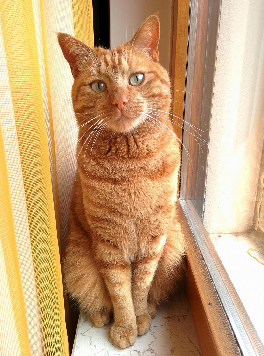 Dude Has Some Impressive Supermodel Skills