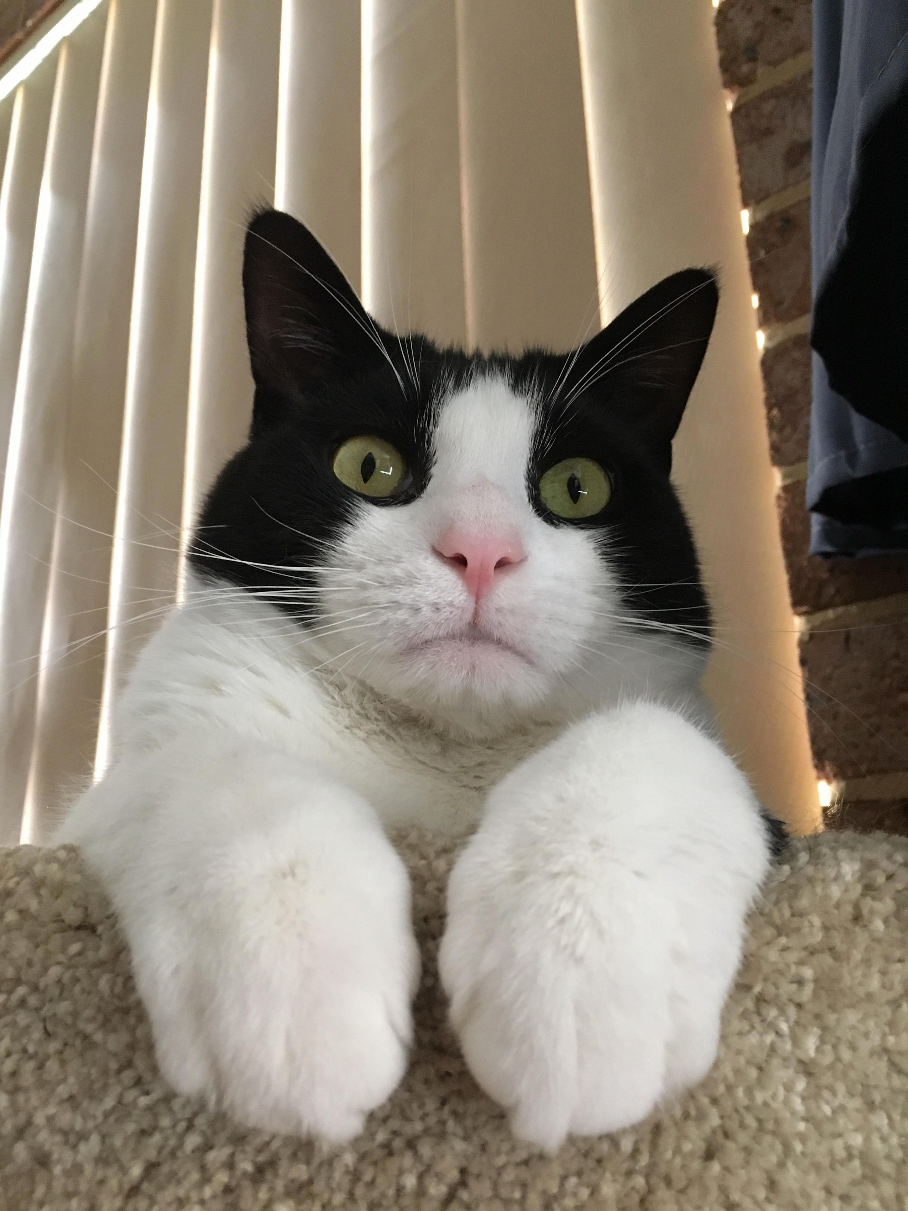 He Can Be Very Cute Sometimes