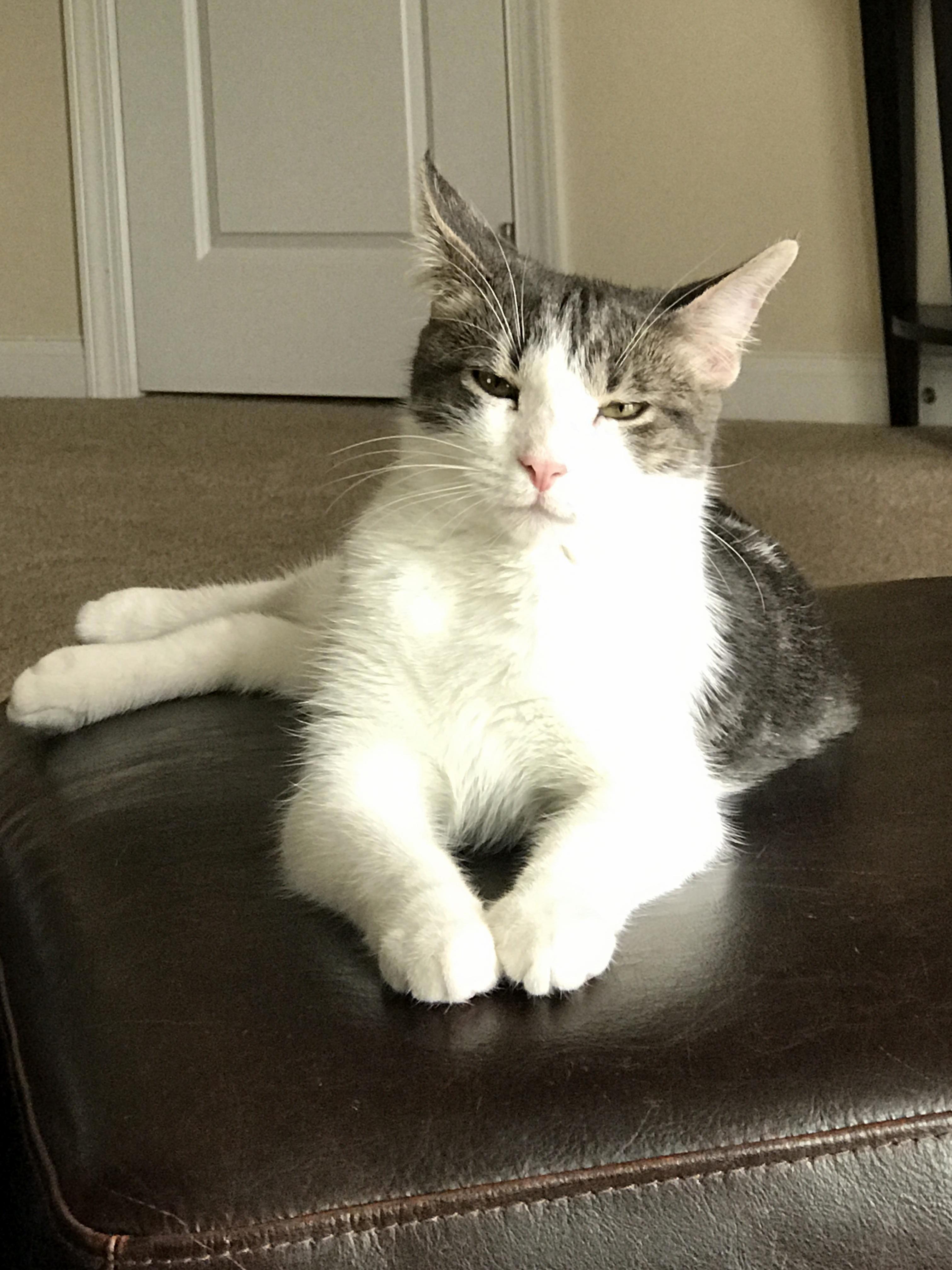 Hes Had Enough of All Your Crap
