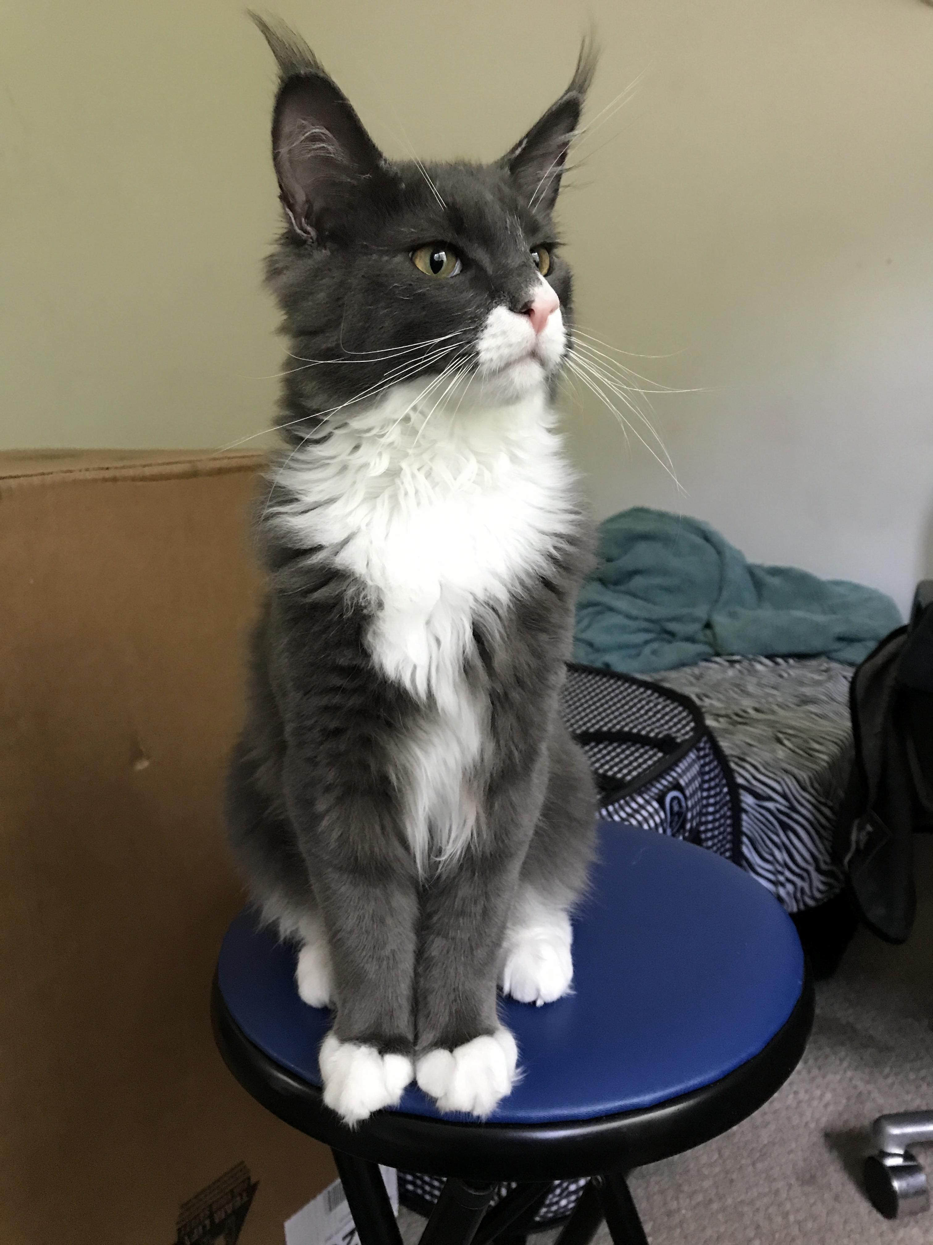 Hes Only Five Months Old!