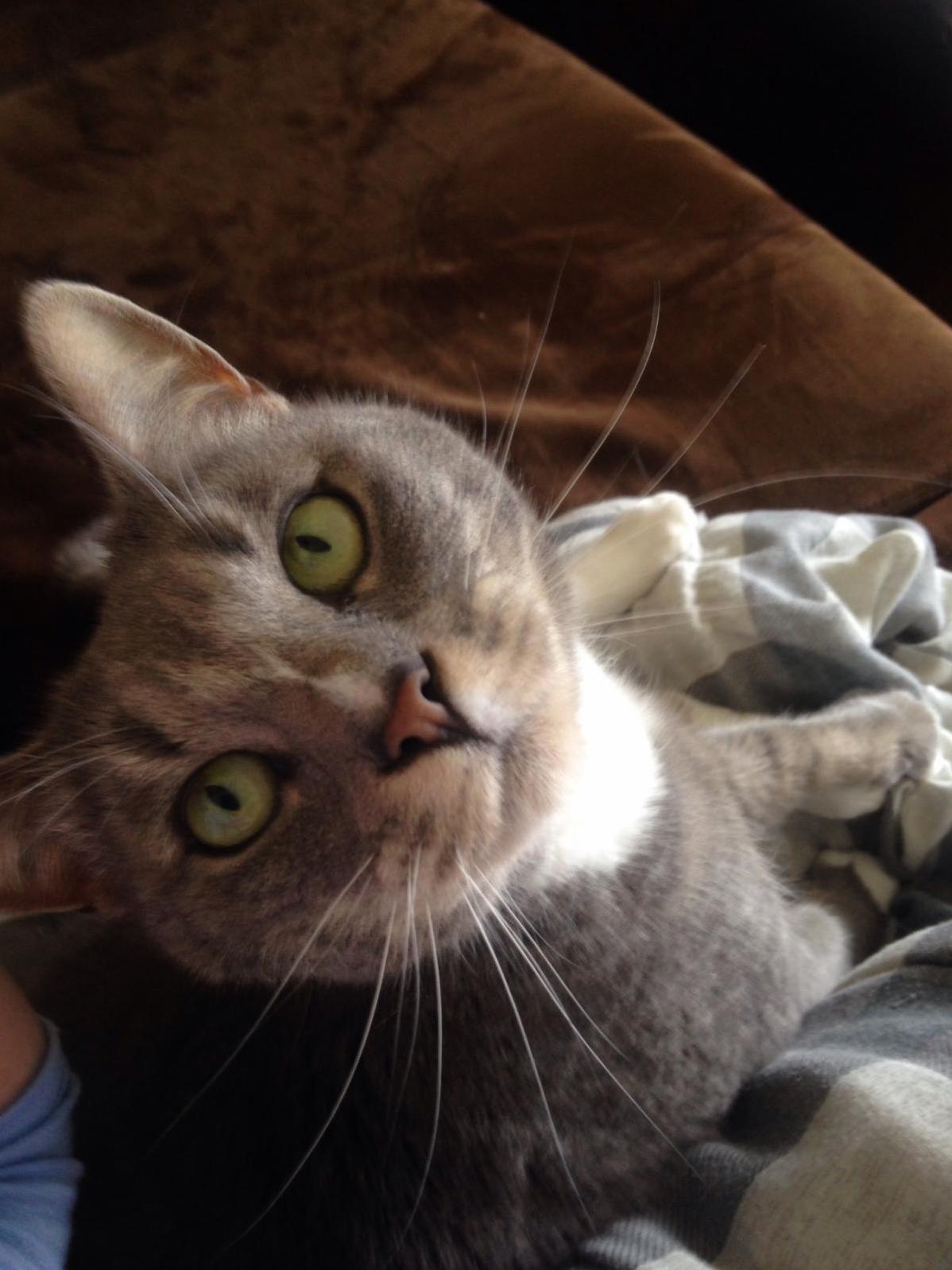 Hi There!