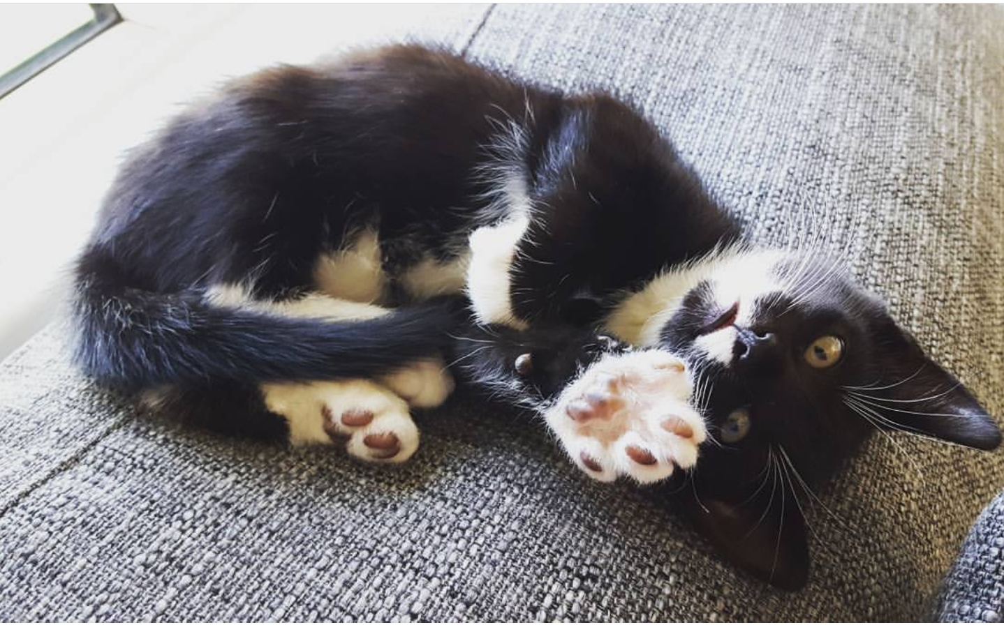 High Five!