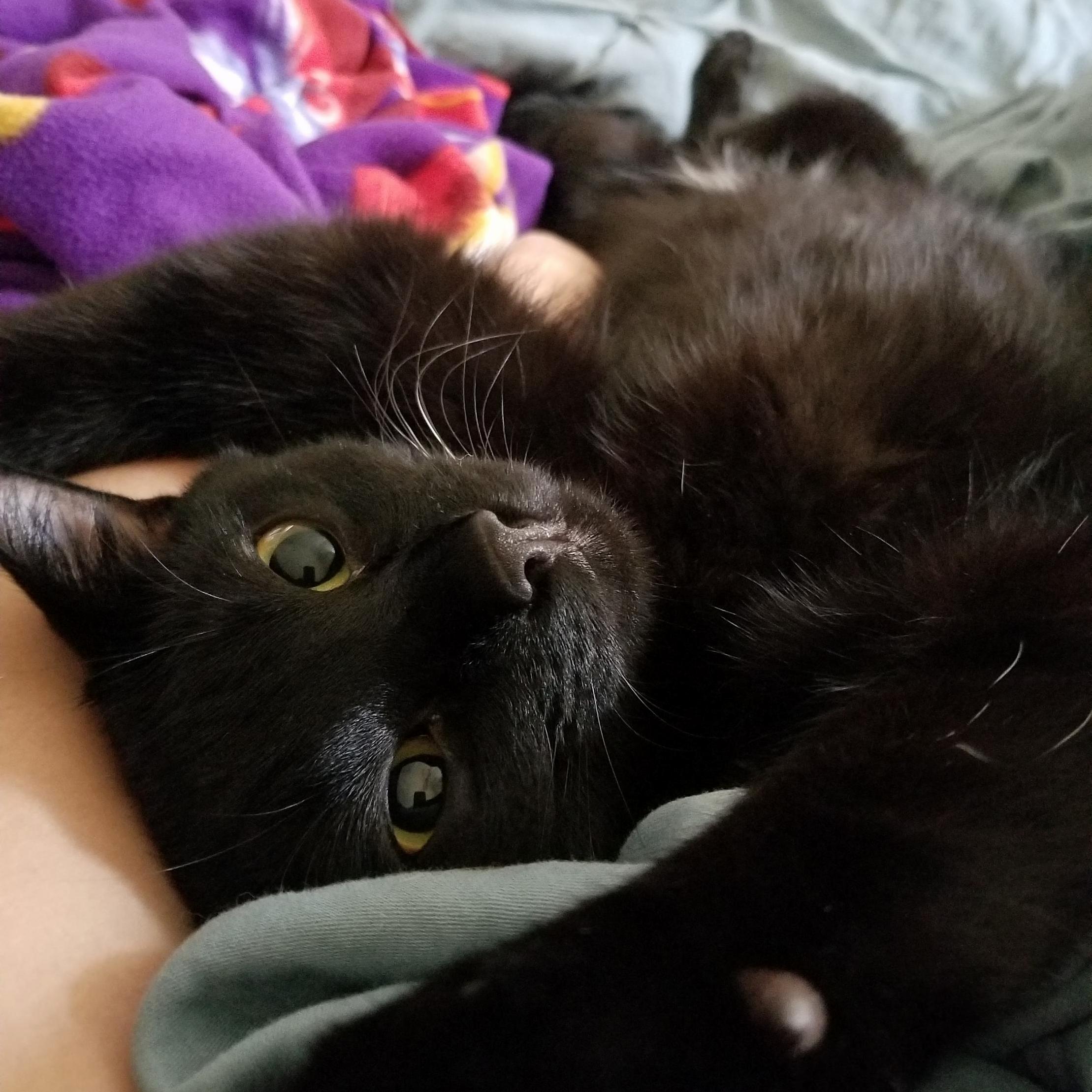 I Love Waking Up Next to This