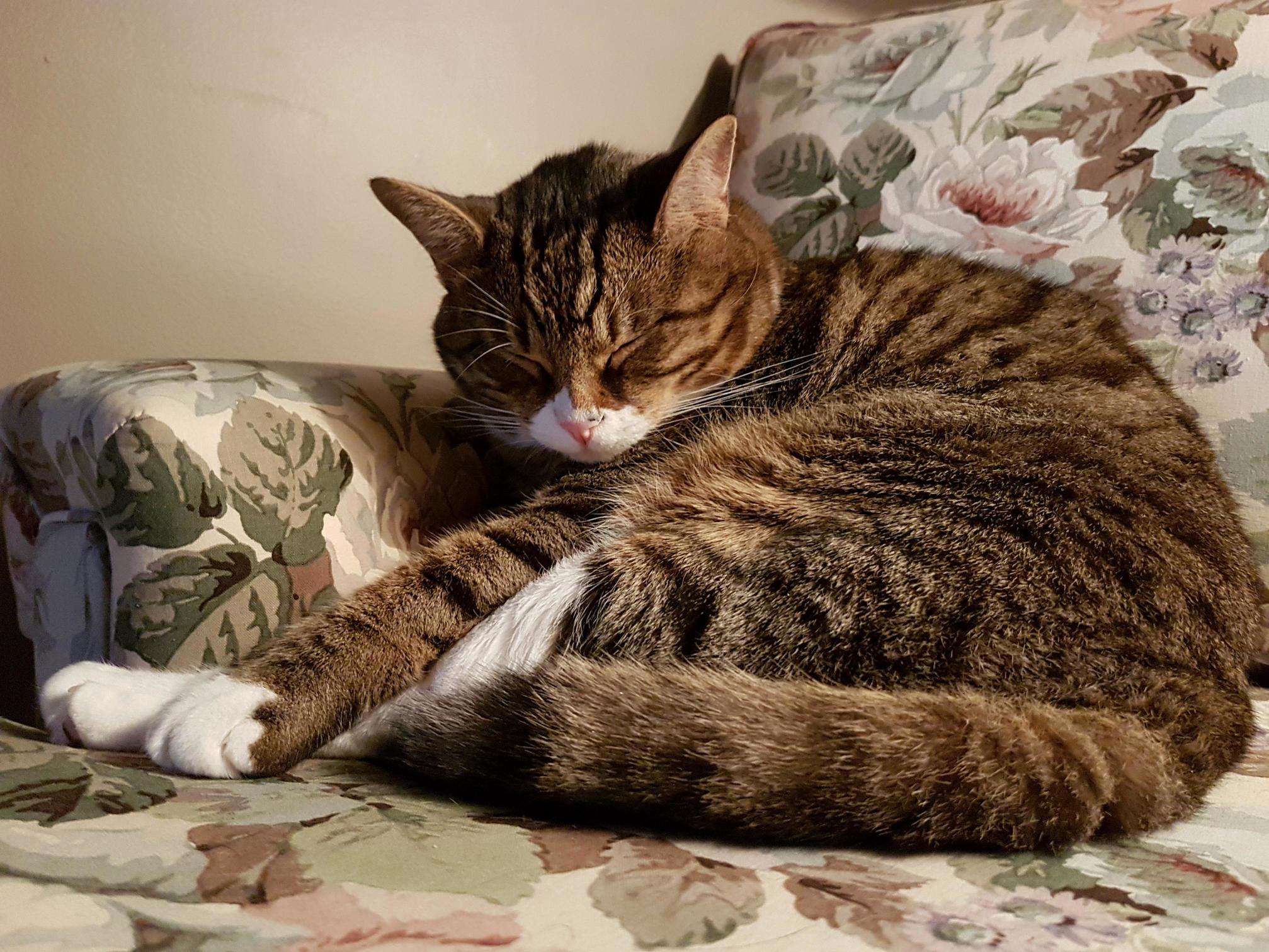 Im Just Gonna Sit Here For........zzzzzzzz.....