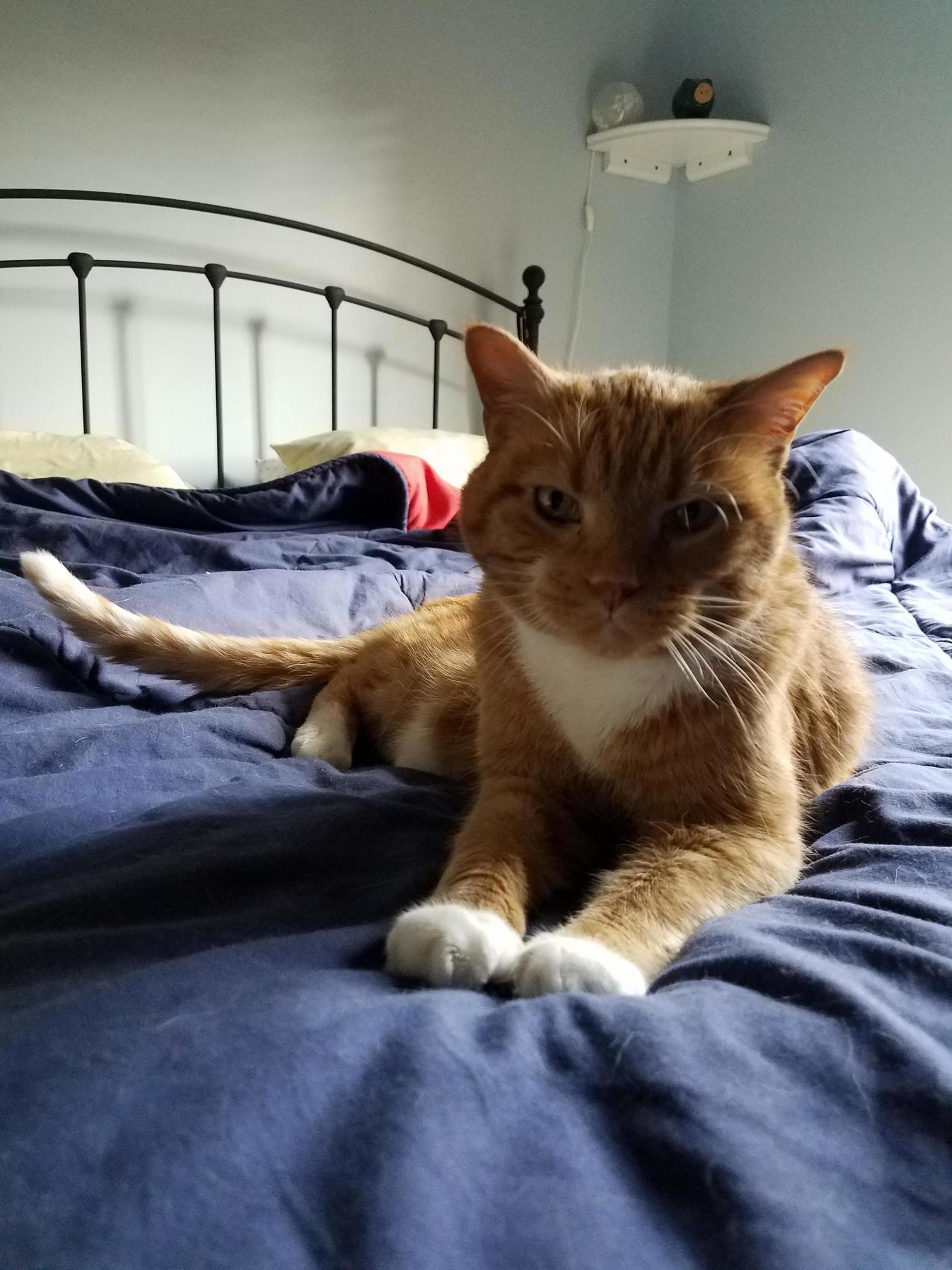 Interrupted Nap Time