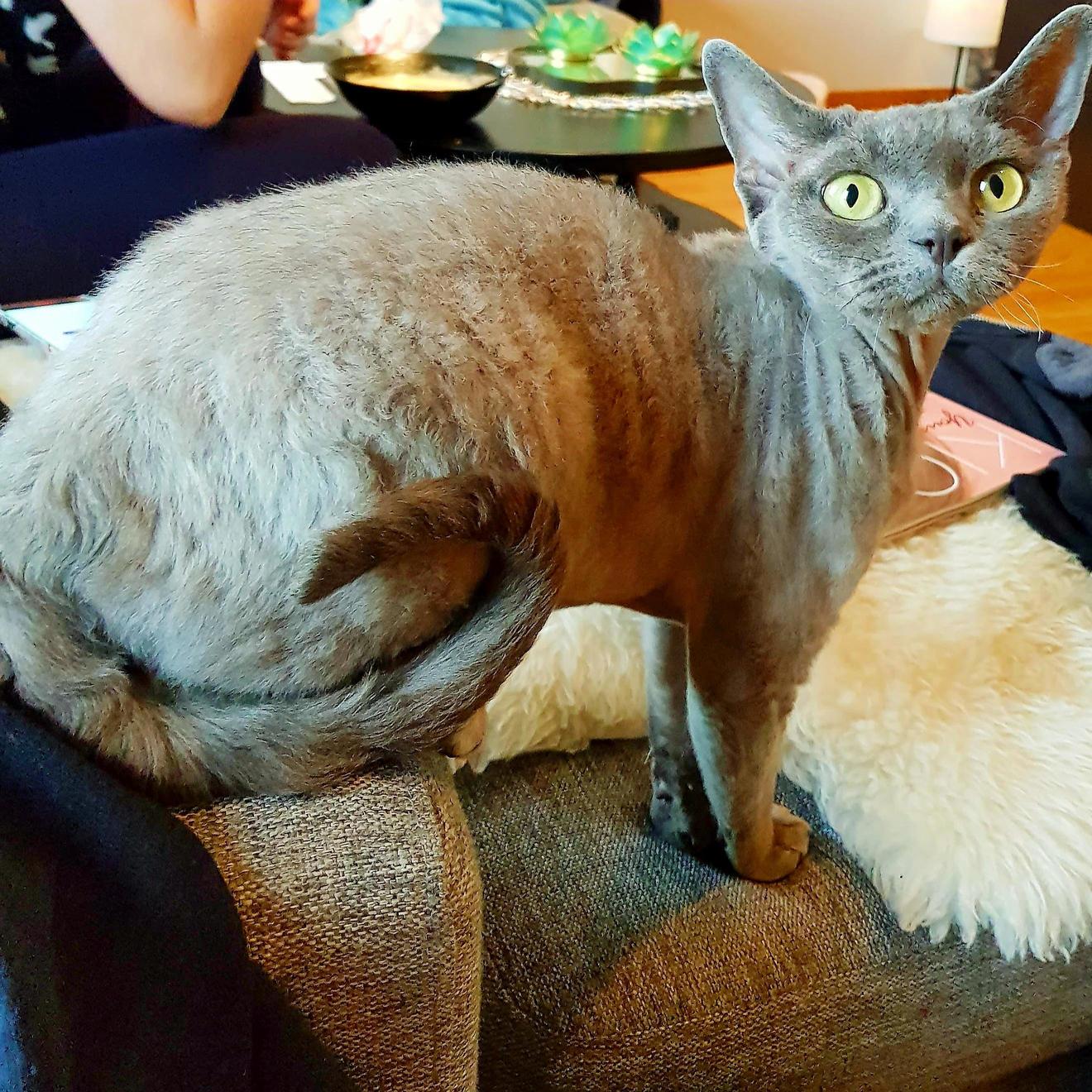 Just Chilling