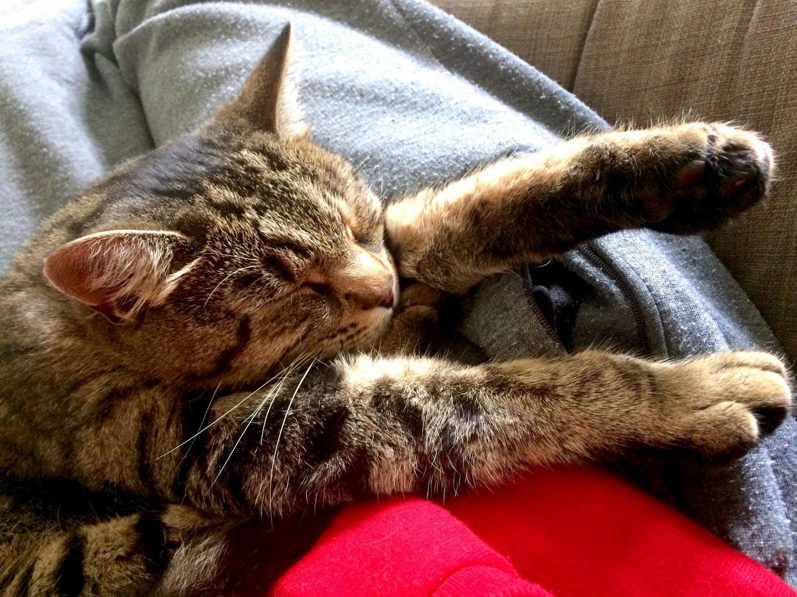 Lazy Friday with This Cutie
