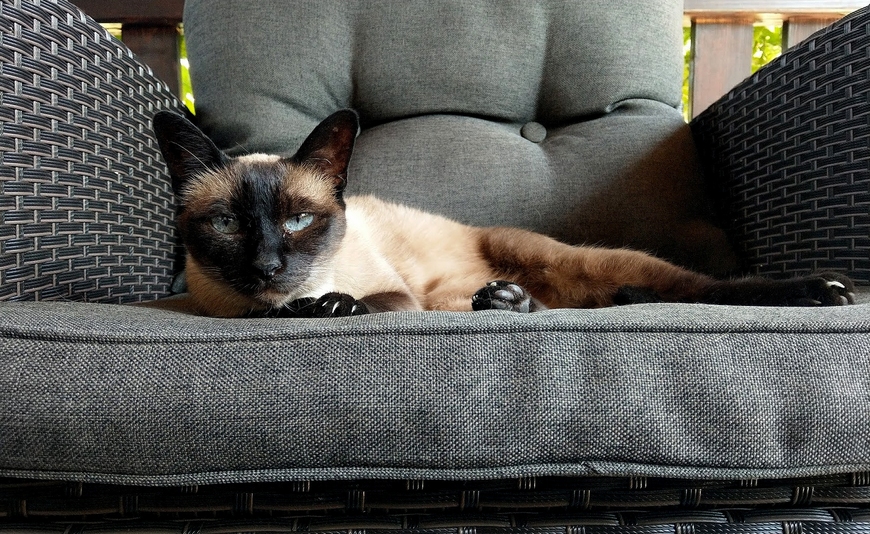 Lazy Monday