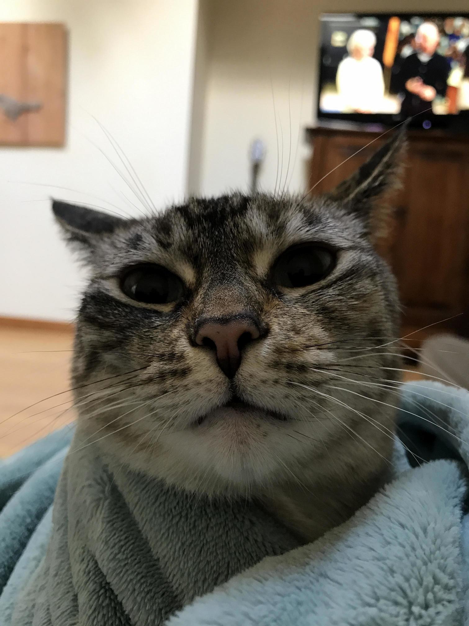 Lazy Sunday