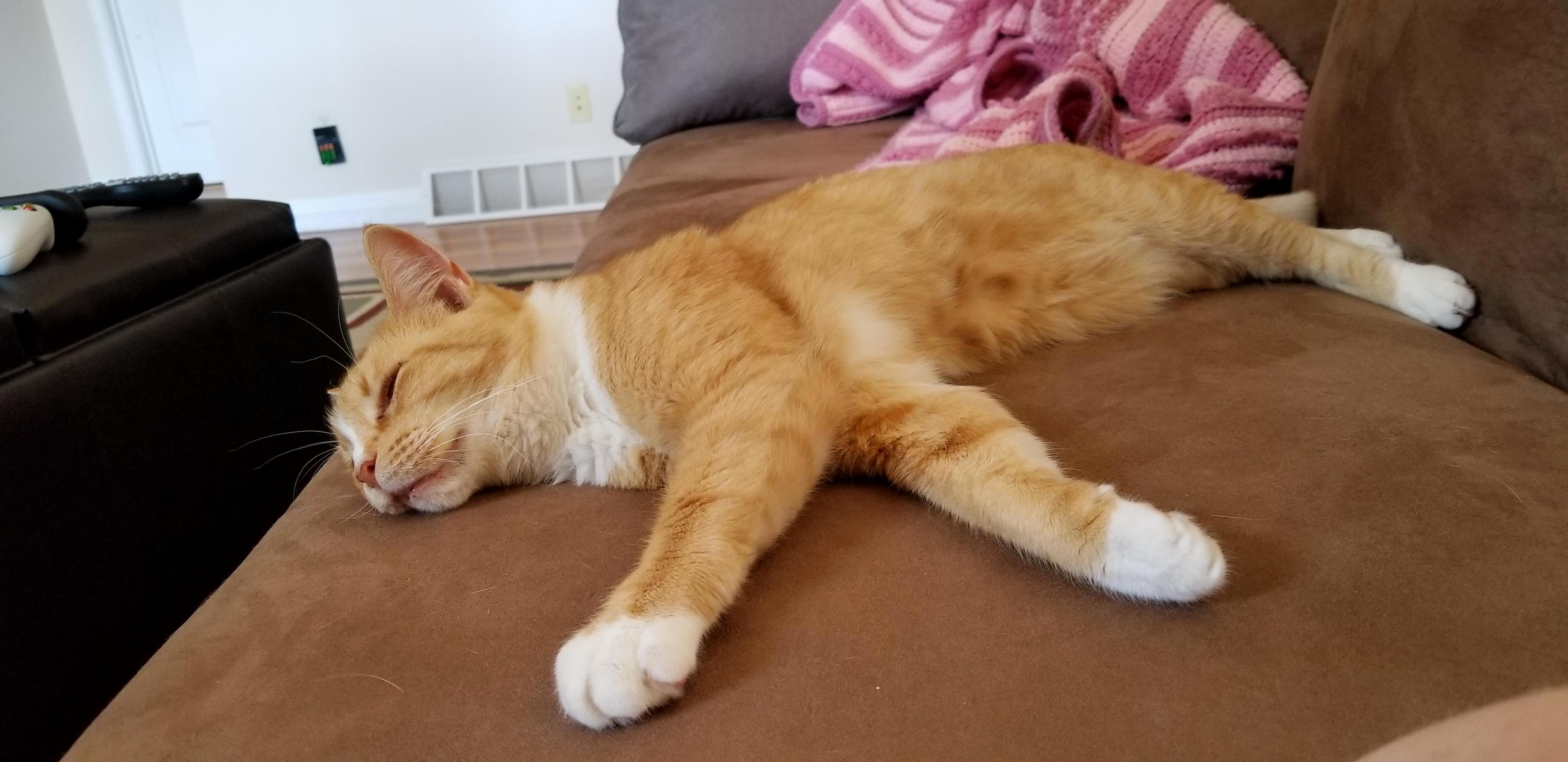 Lazy Sundays