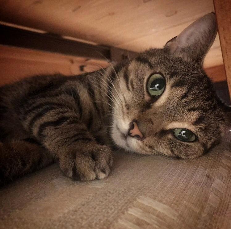Maya in Her Safe Place.