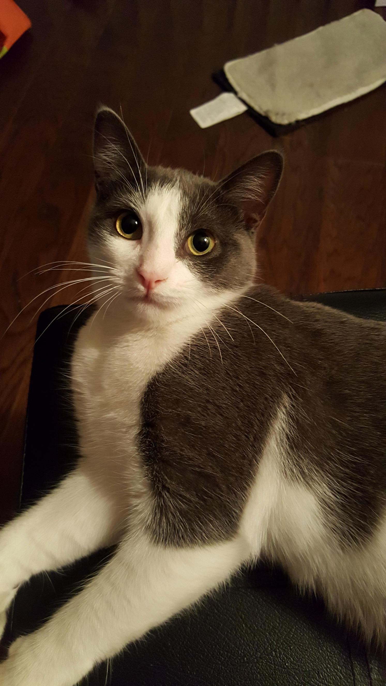 Meet My Sweet Little Girl, Kairi! She Turns 6 Months Old Today!