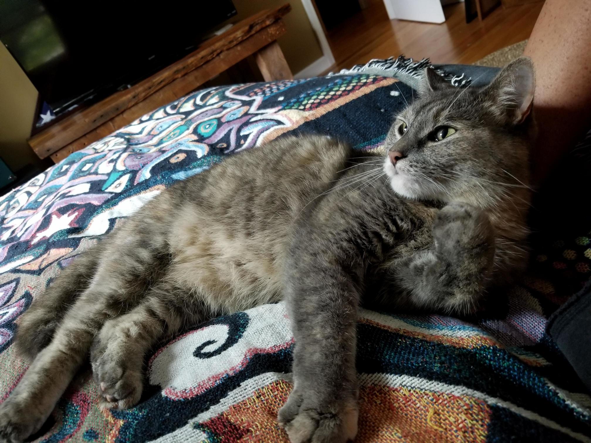 Morning Snuggles Interrupted by the Sound of the Birds Outside