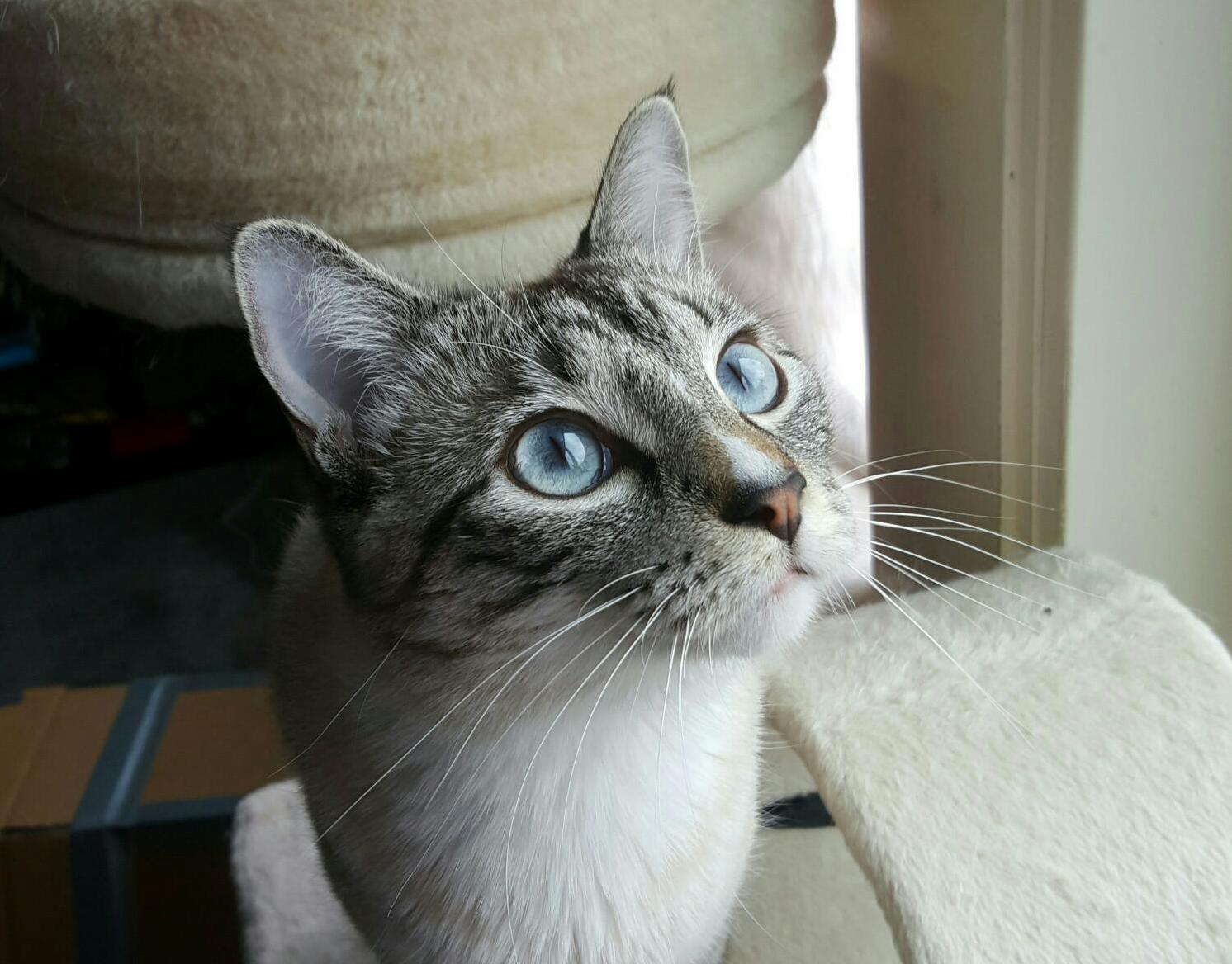 My 1 Year Old Girl Moya.
