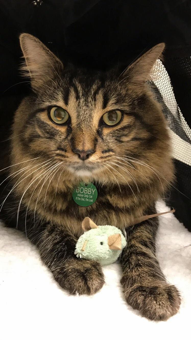 My Handsome Boy