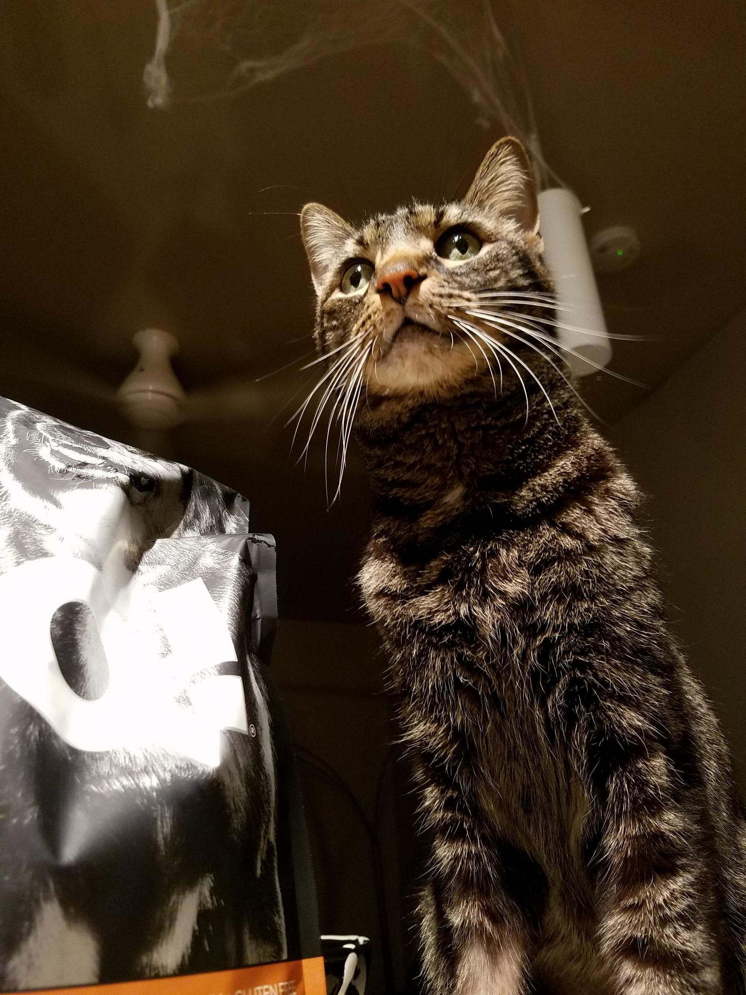 Our Handsome Boy