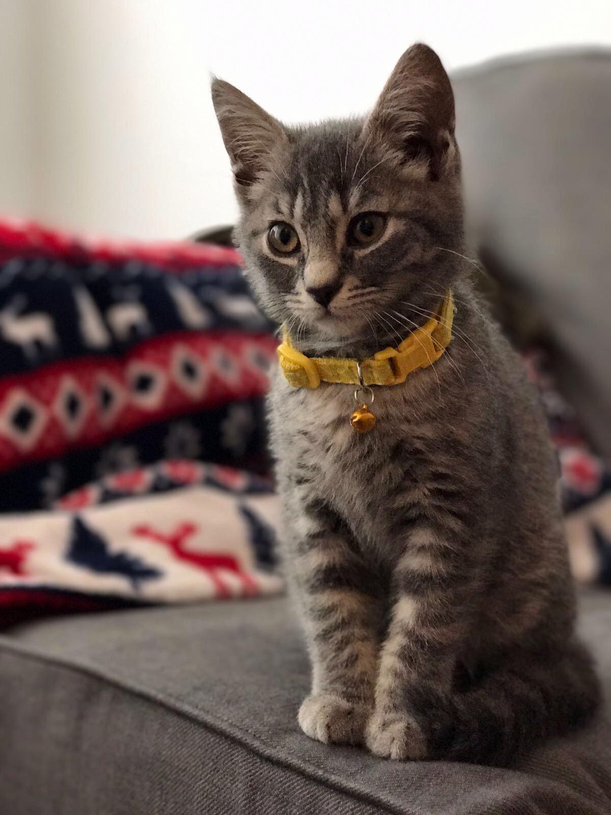 Our Pretty Girl