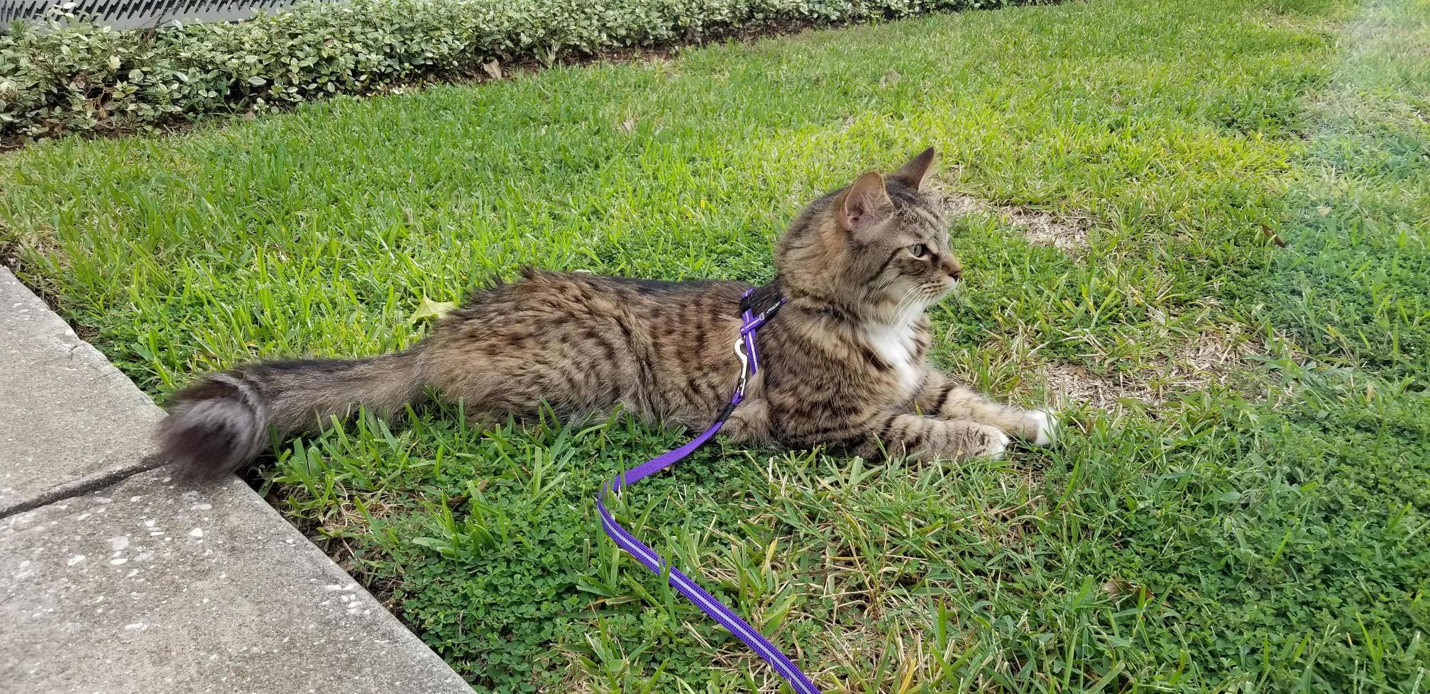 Pixel Dont Care About No Spin Spin Loud Cloud