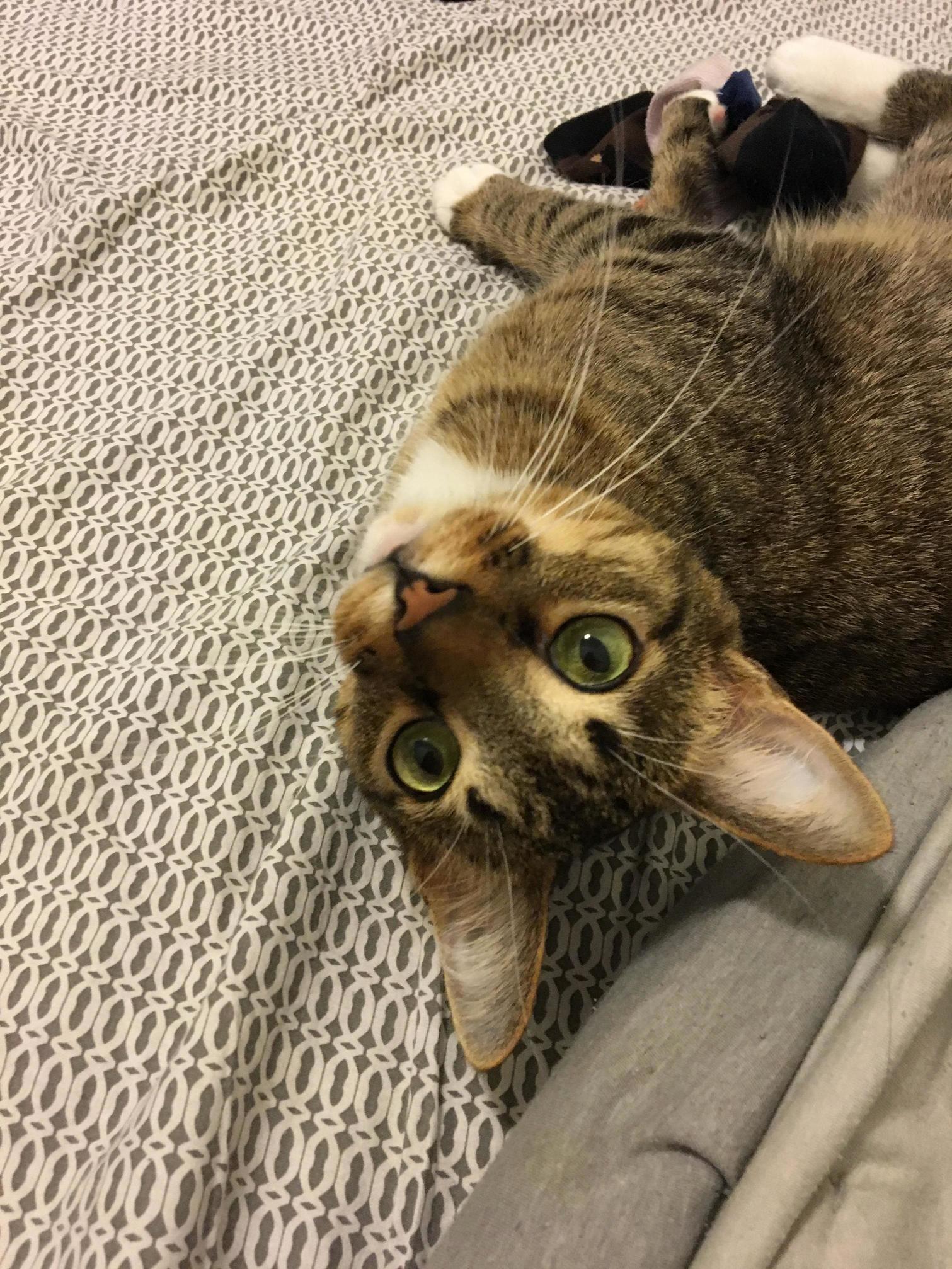 Playing with Socks