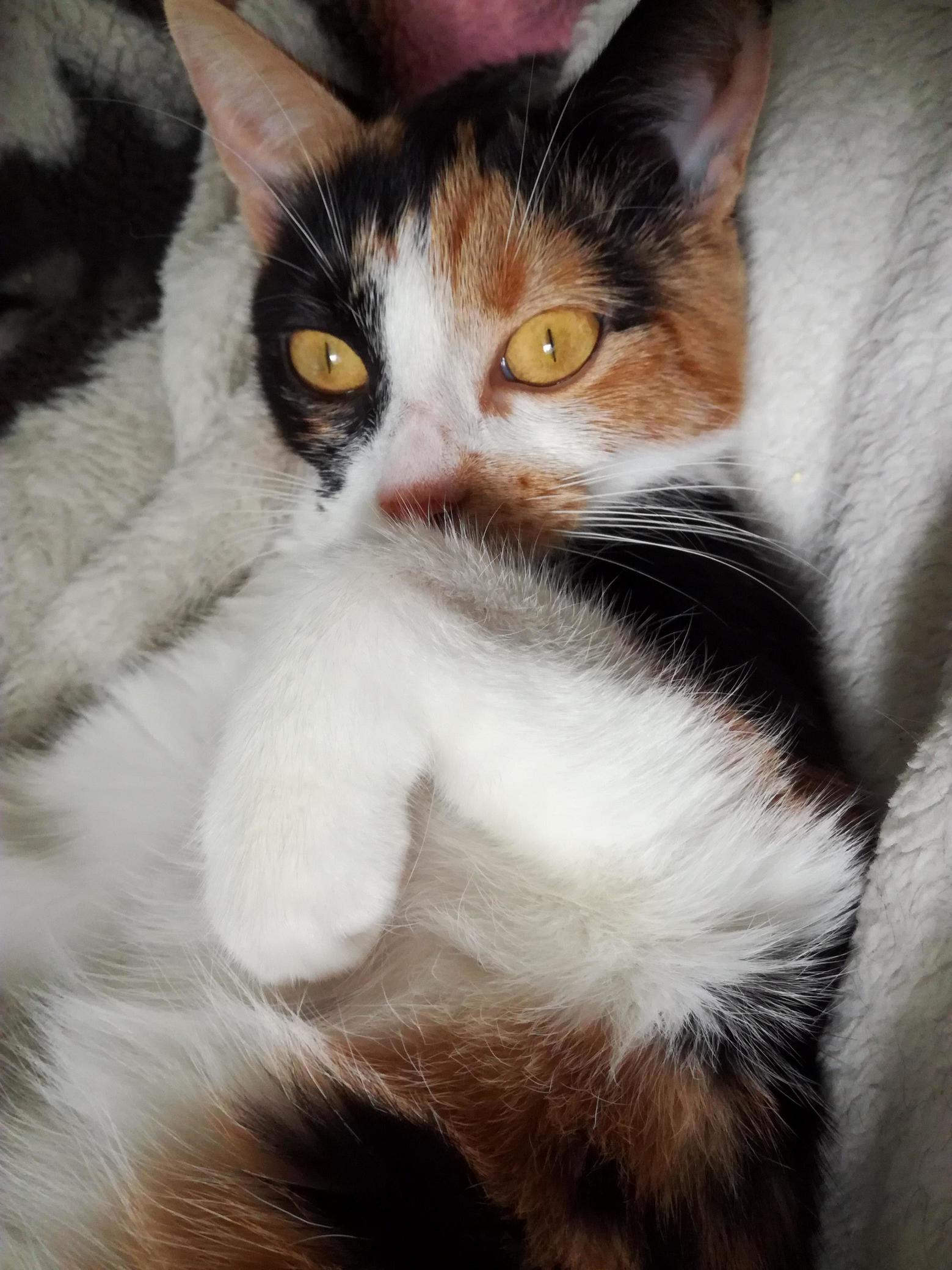 Plotting....should I Be Worried