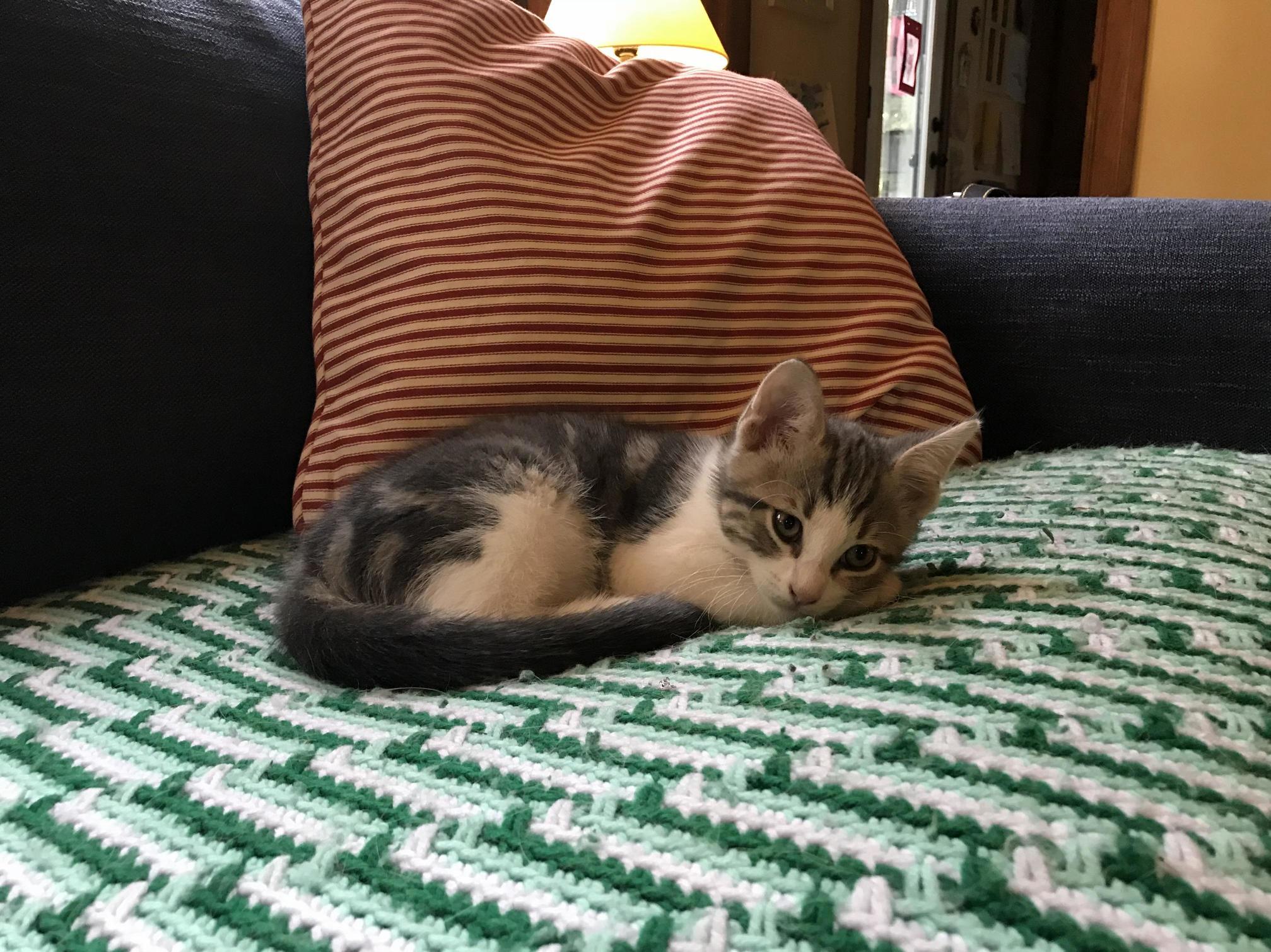Reddit, Meet Jeff!