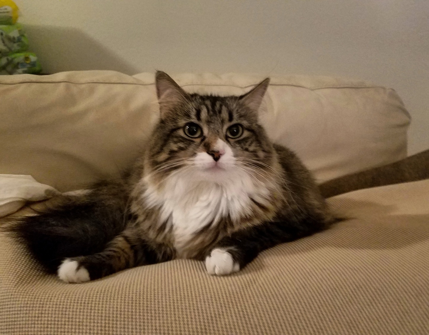 School Picture Pose