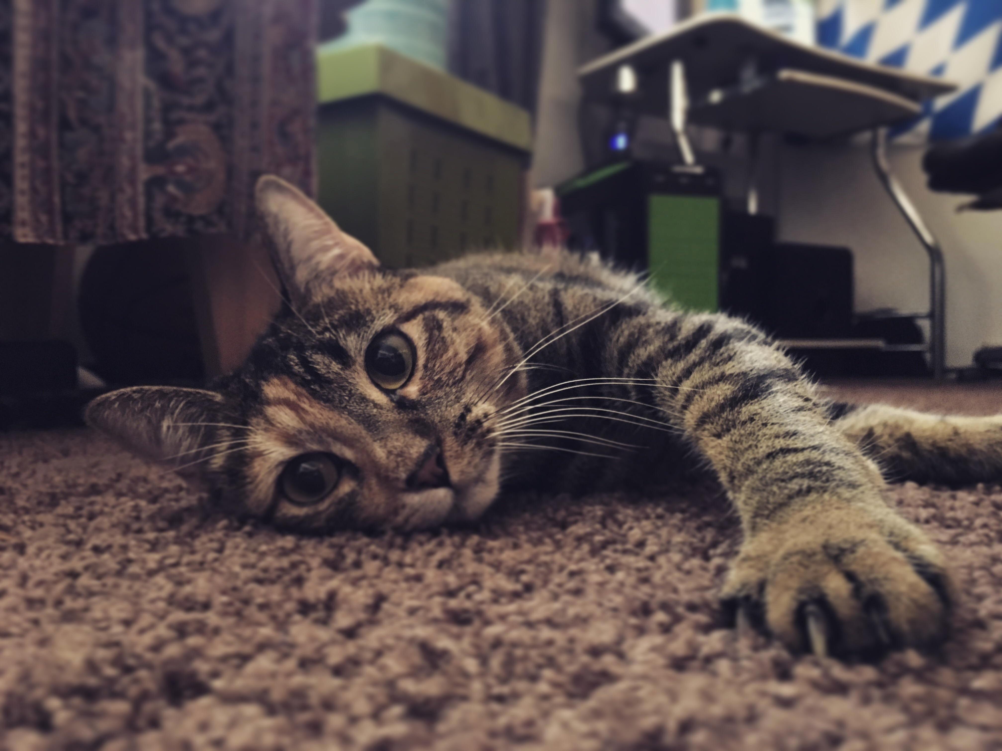 She Just Turned 2.