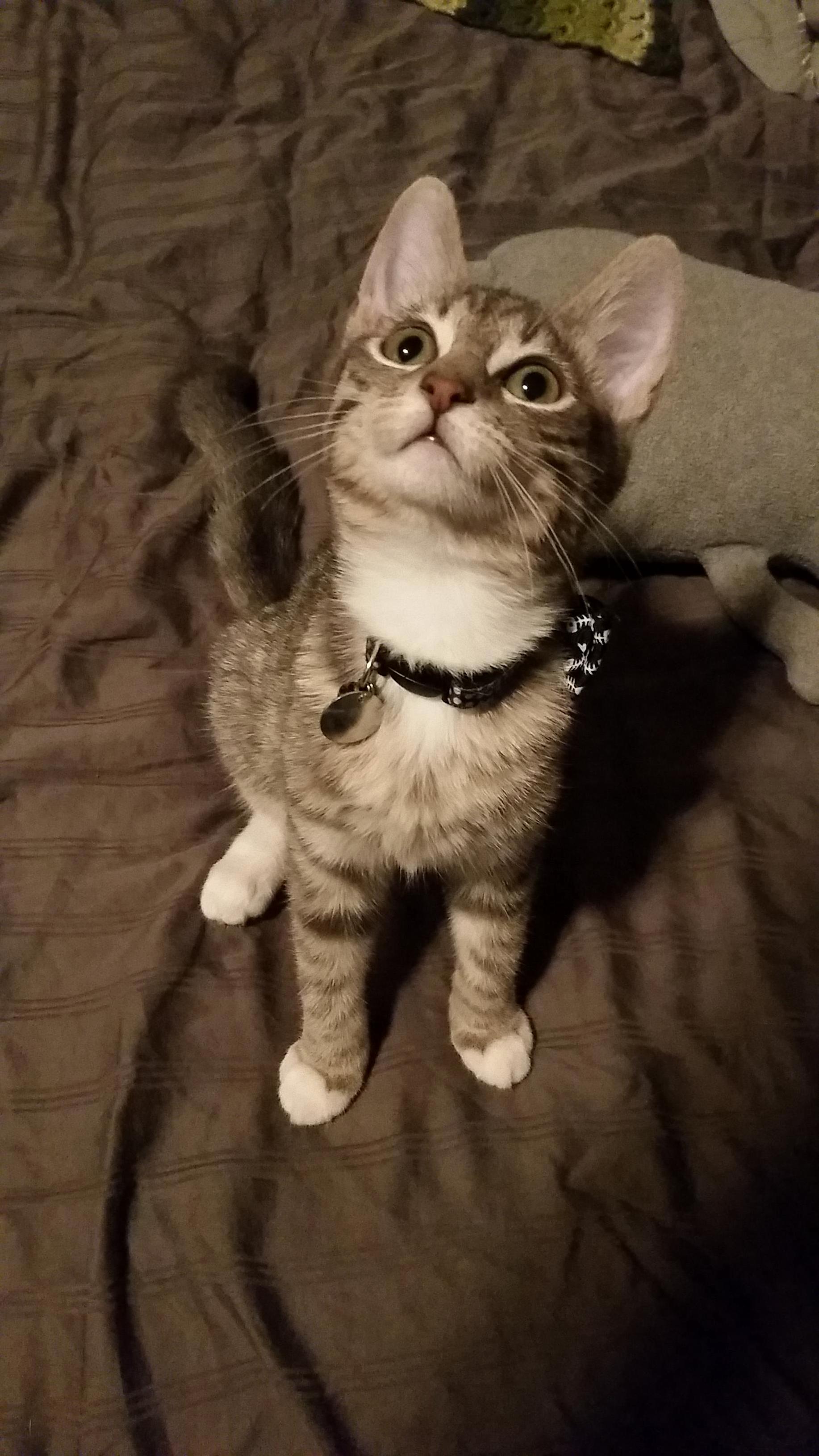She Makes It Really Hard to Leave for Work...