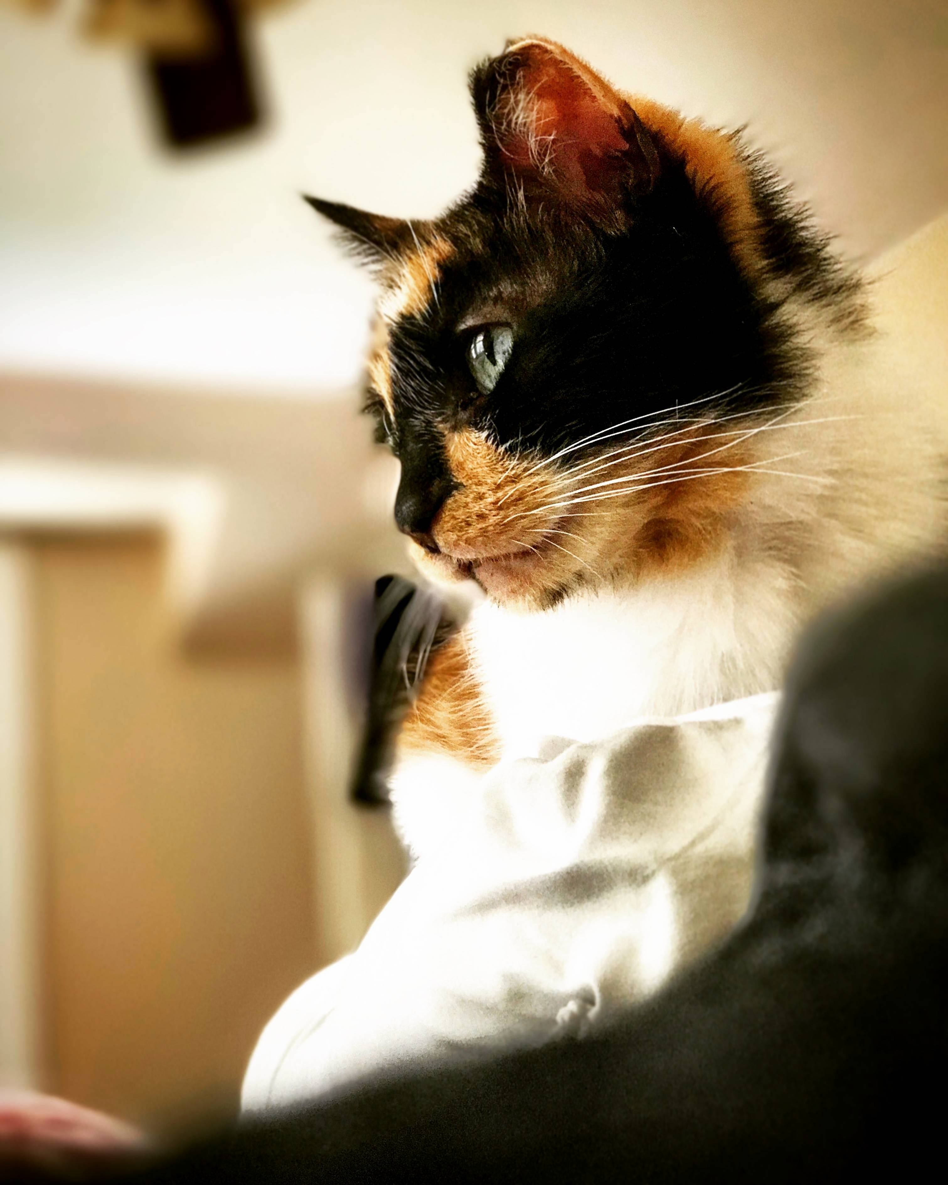Spending a Lazy Friday with My Girl
