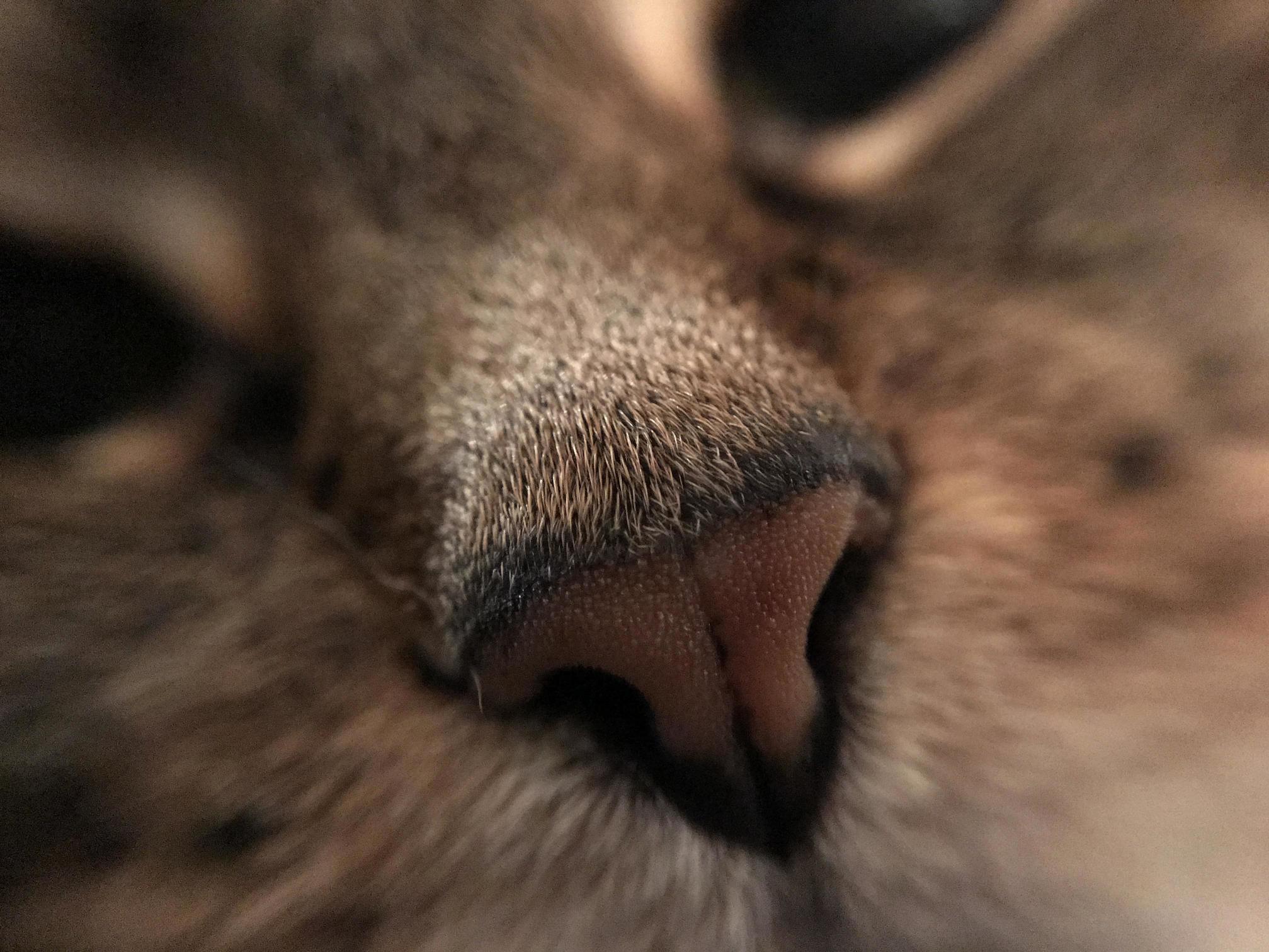 The First Thing I See Every Morning.