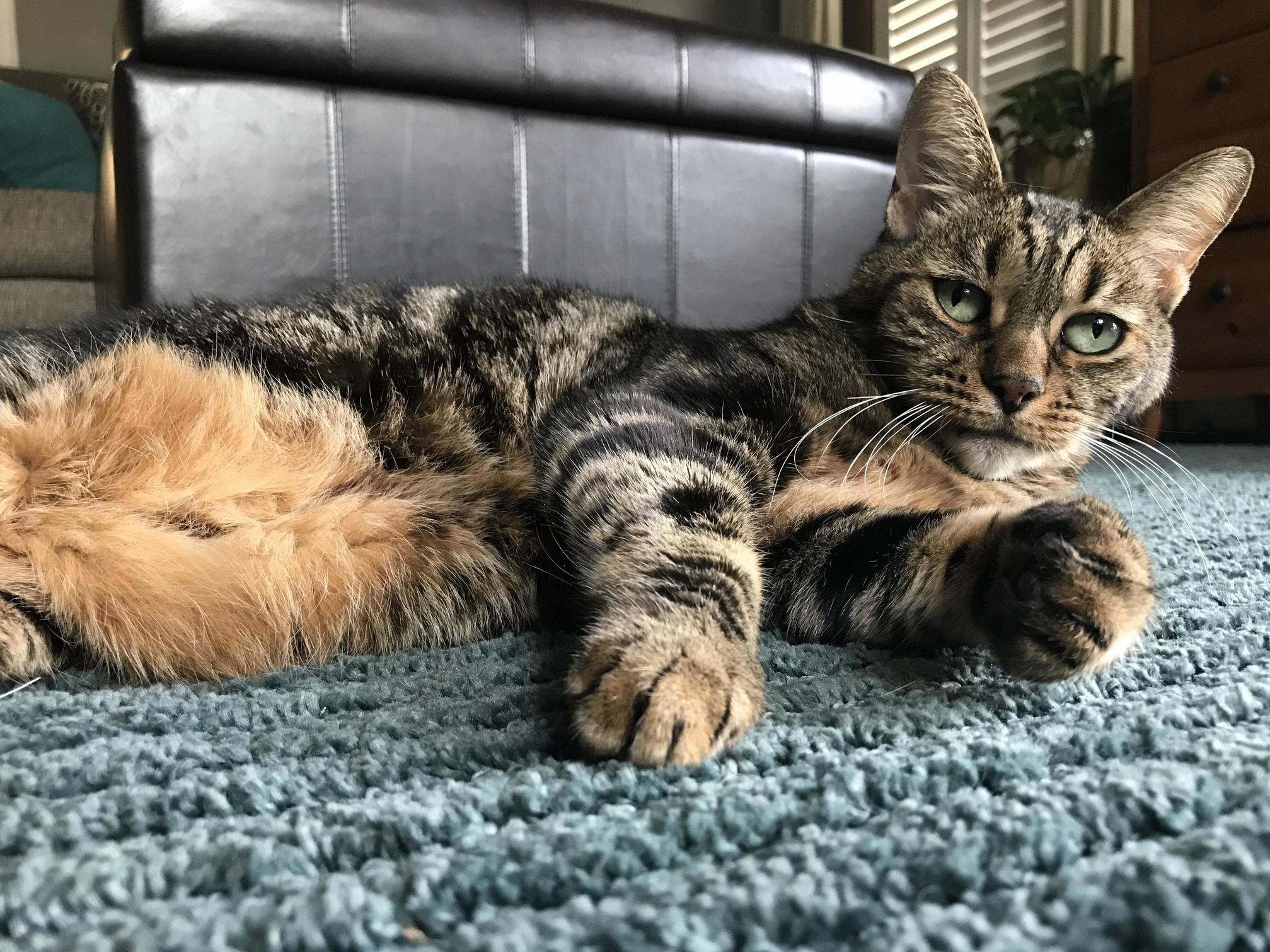 This Is My Girl Tomeiko, Shes 12 but She Still Has Such a Baby Face