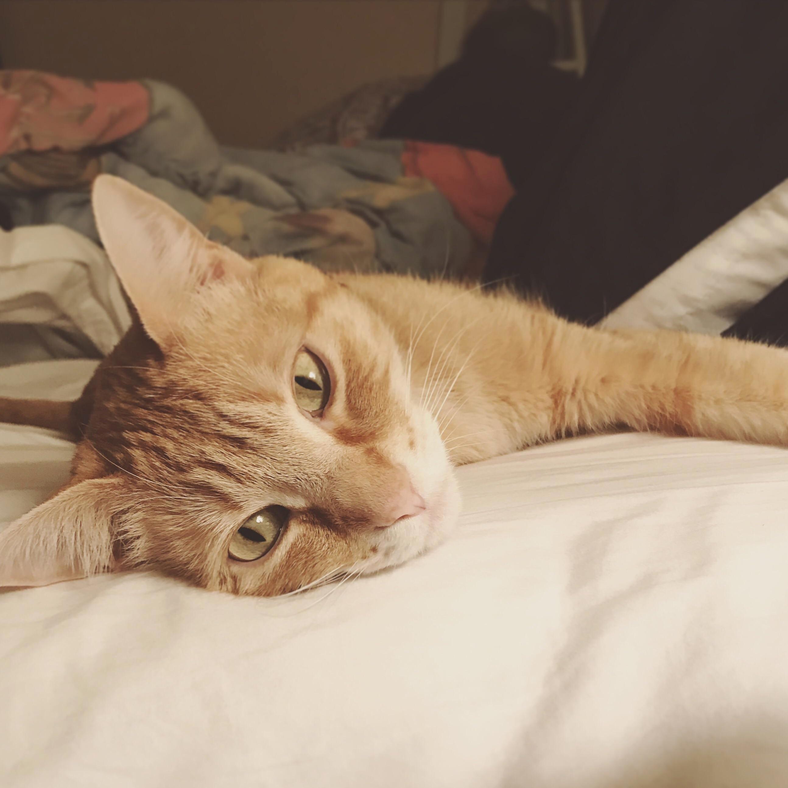 This Love Brightens Even My Darkest of Days. Im Lucky He Chose Me.