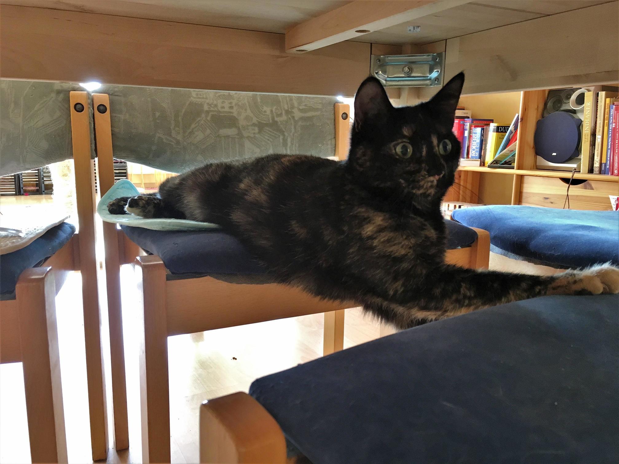 Trying to Block More Than One Chair