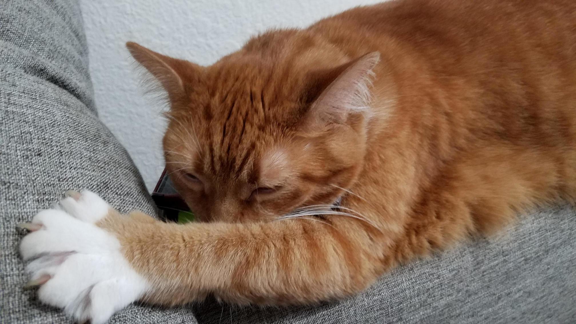 Whoever Ends This Nap Will Himself Be Ended