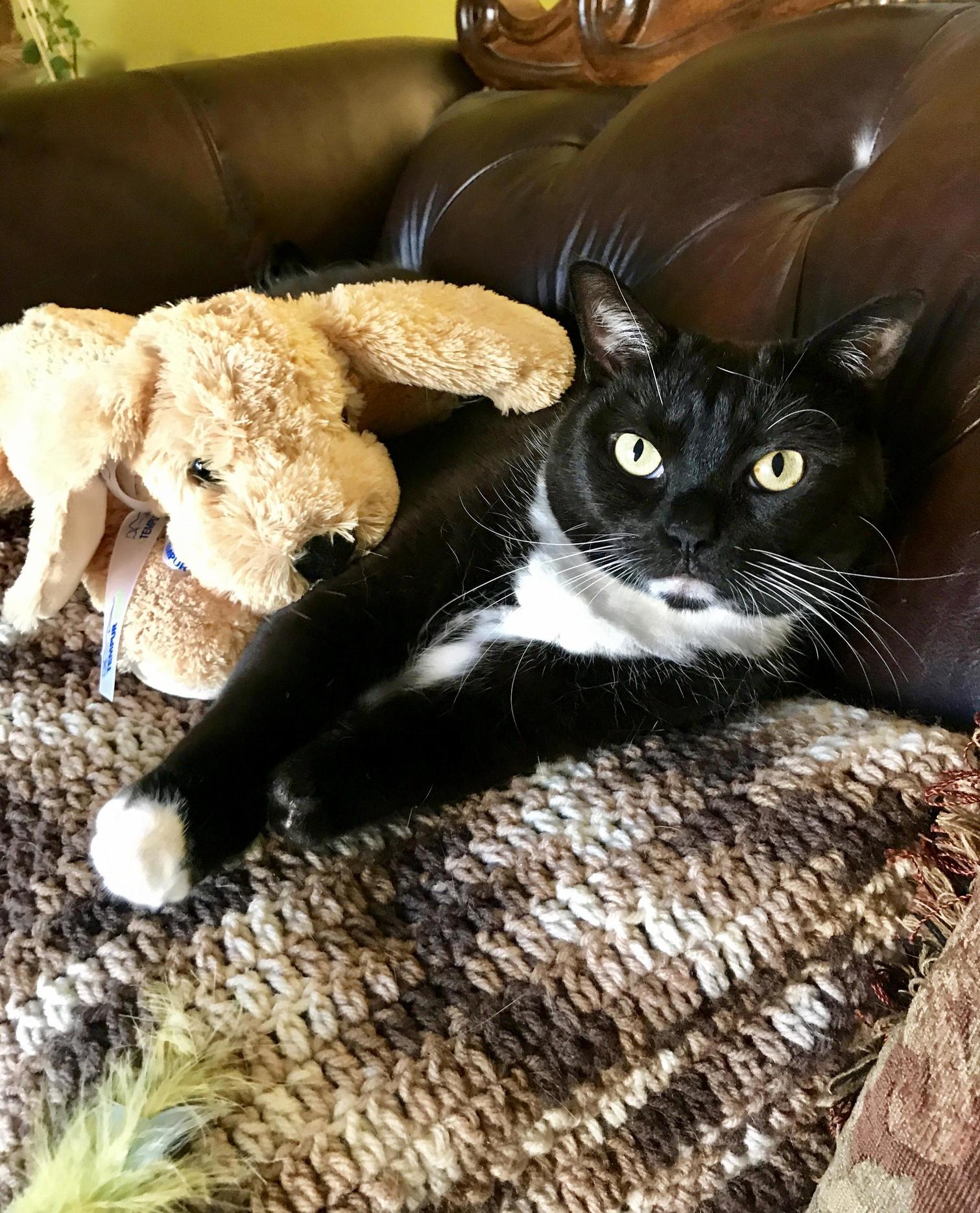 Xena & Her New Friend