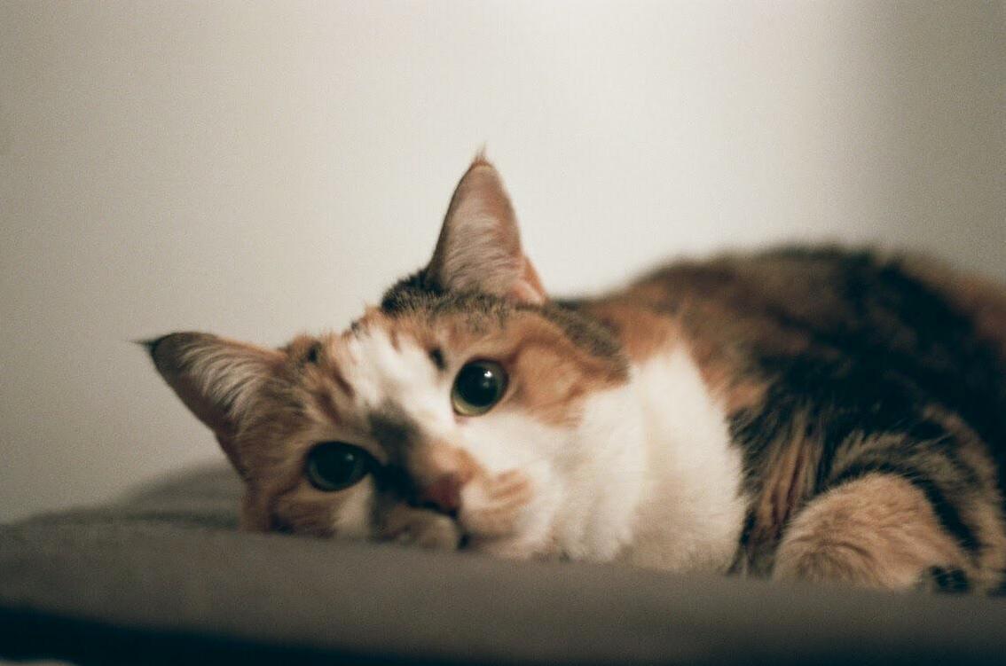 14 Years Old, Still the Cutest