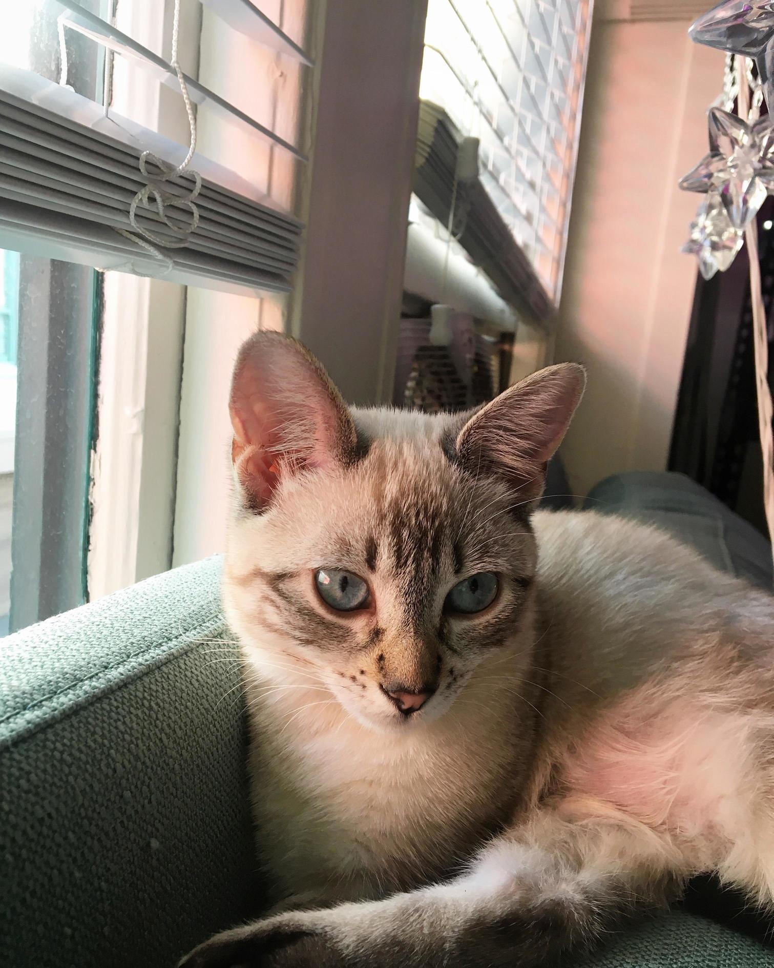 4 Months Old and Already a Goddess