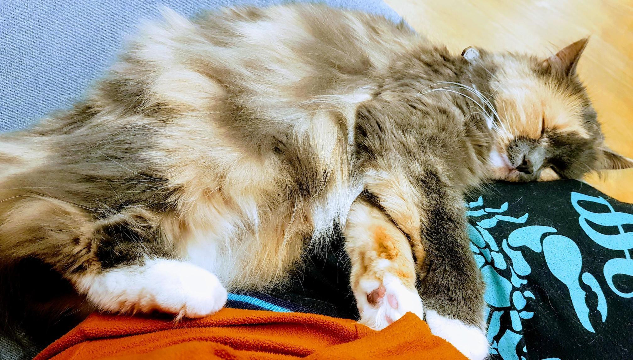 A Bit of Love