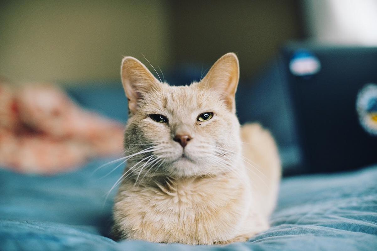 Always Smug, Forever Adorable. Heres My Little Man, Tuesday!