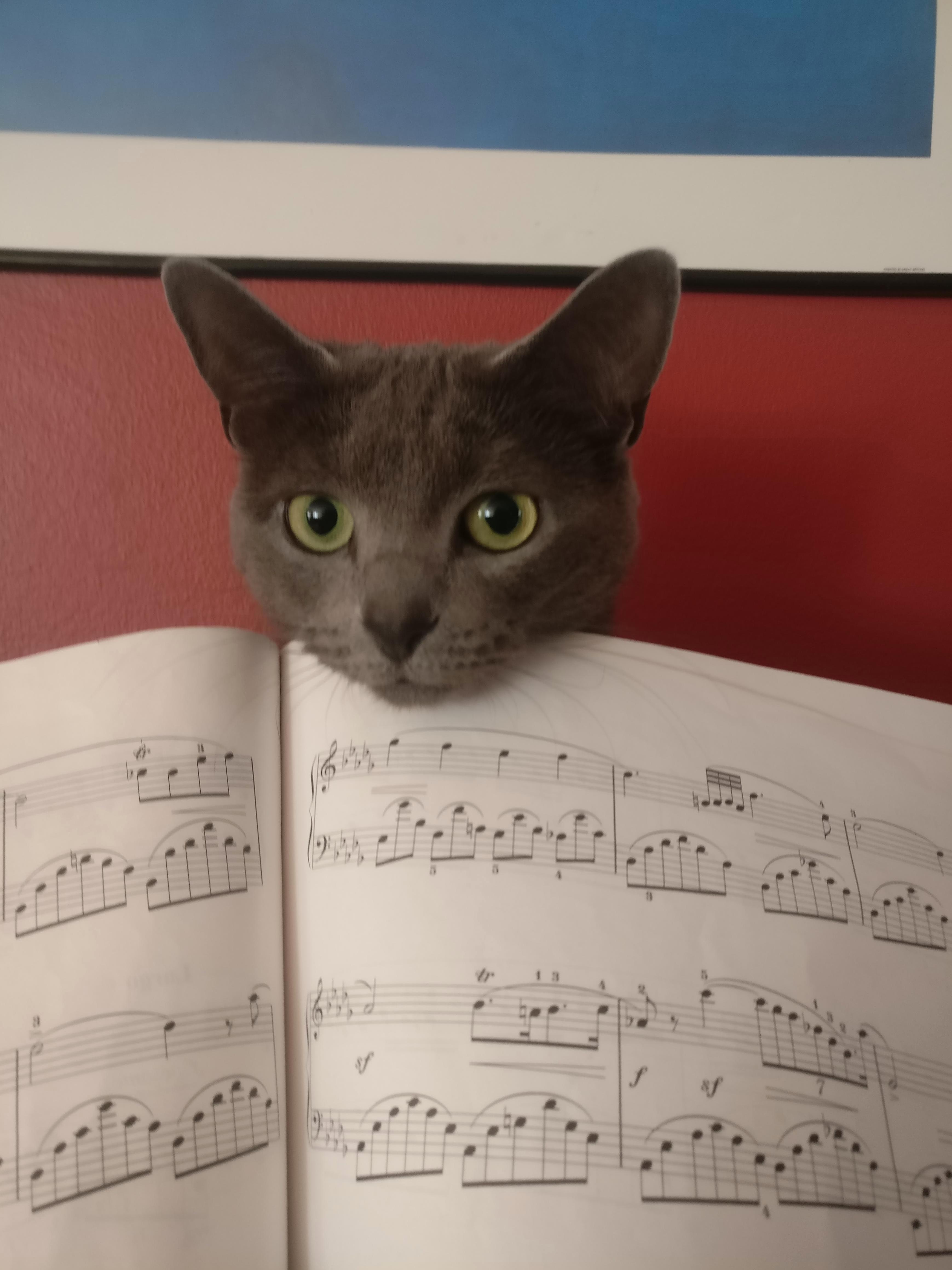 An Ear for Good Music