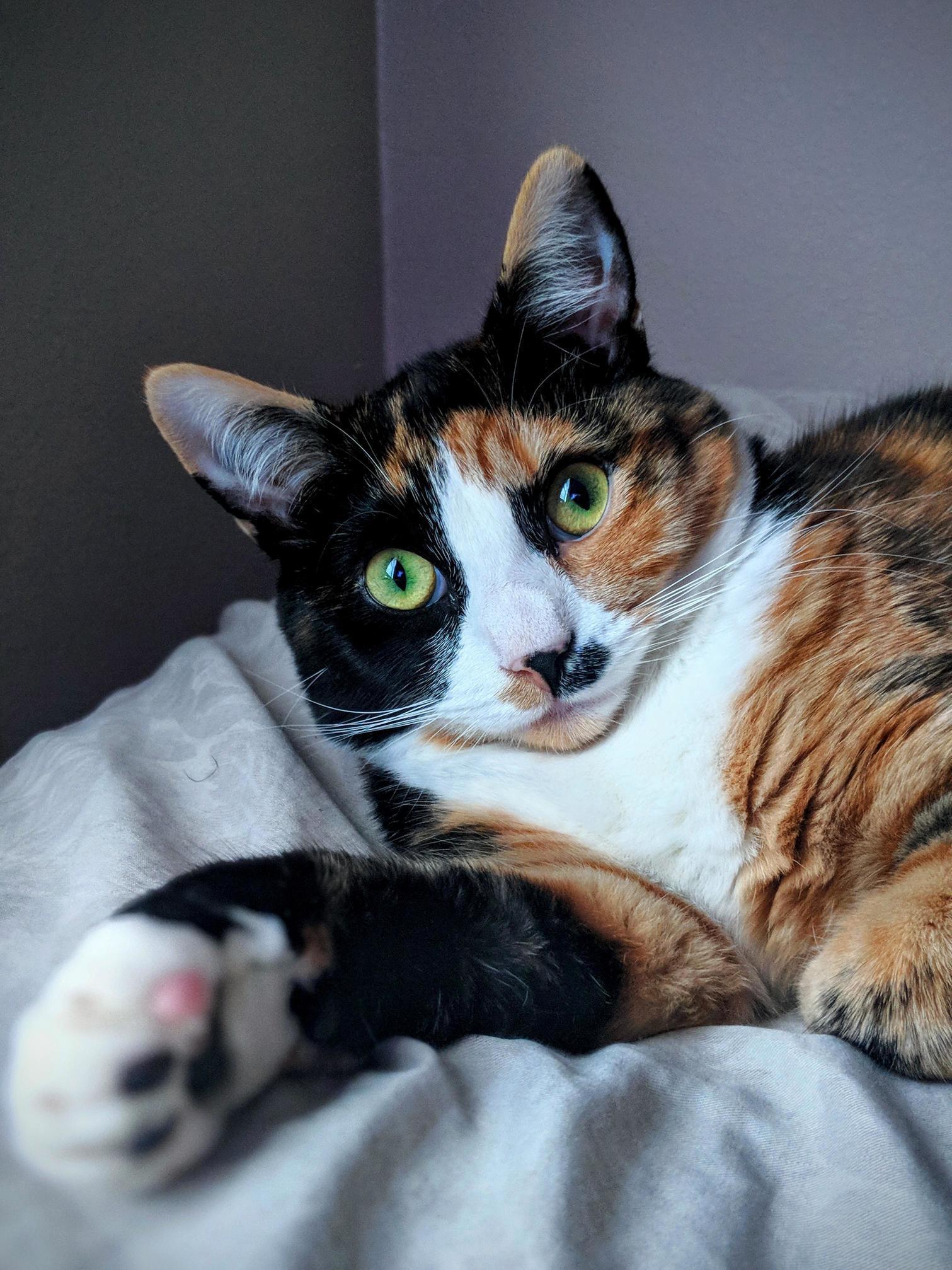 Arya, My Model for the Day.