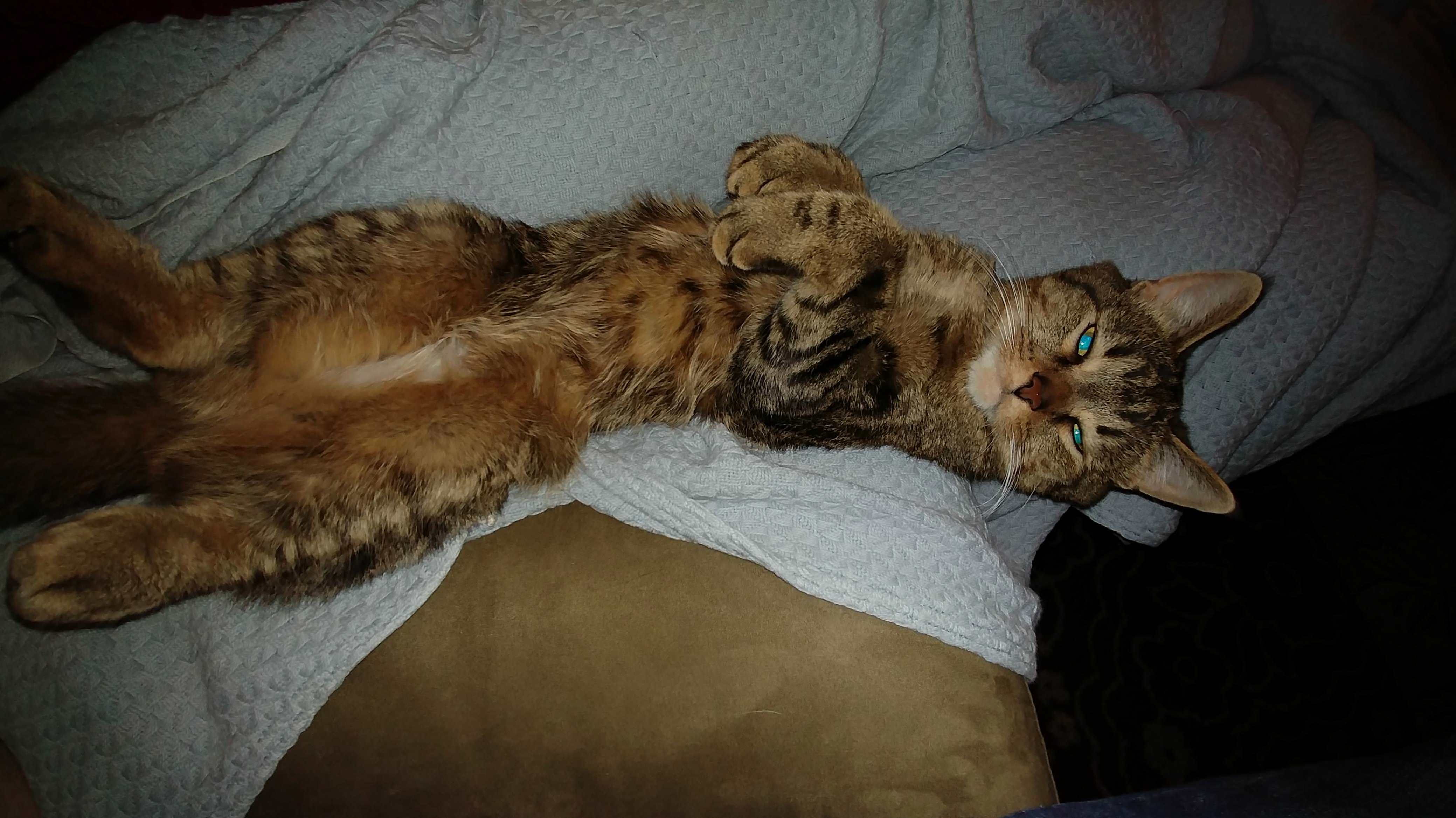 Blue Eyes