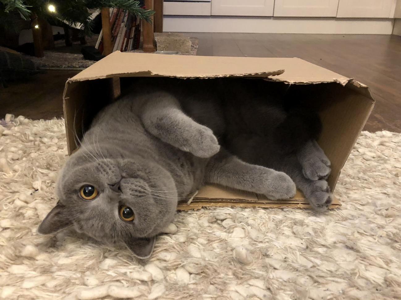 Box #102... and They Never Get Old!