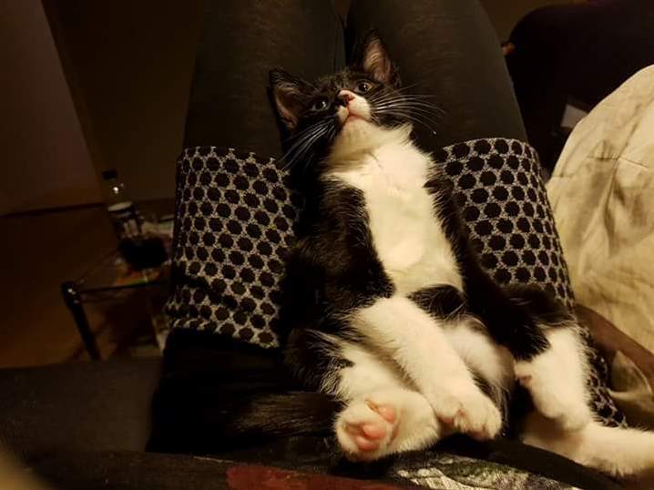 Chilling