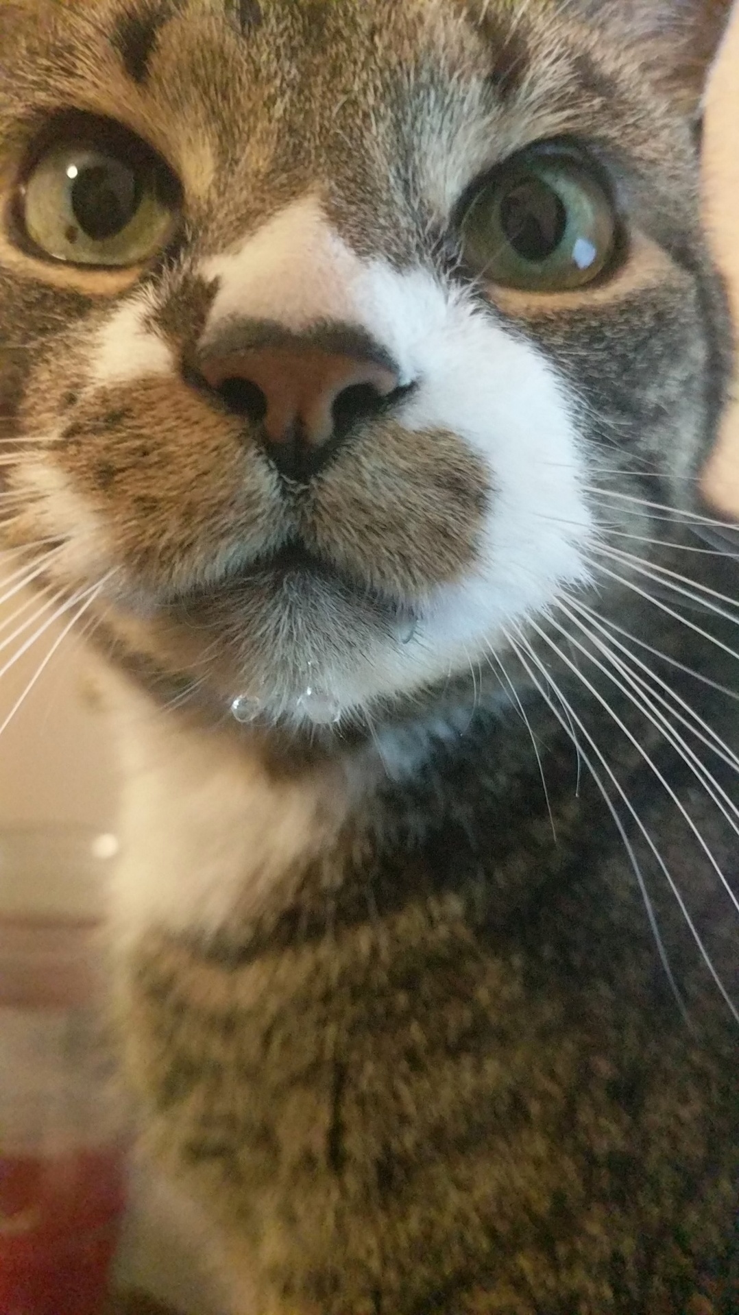 Chuck Just Finished Taking a Drink