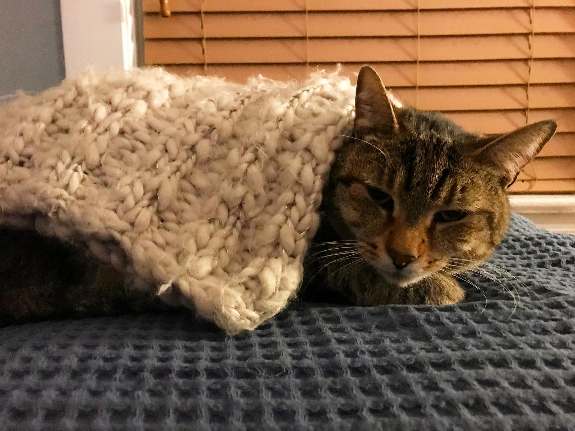 Comfortable
