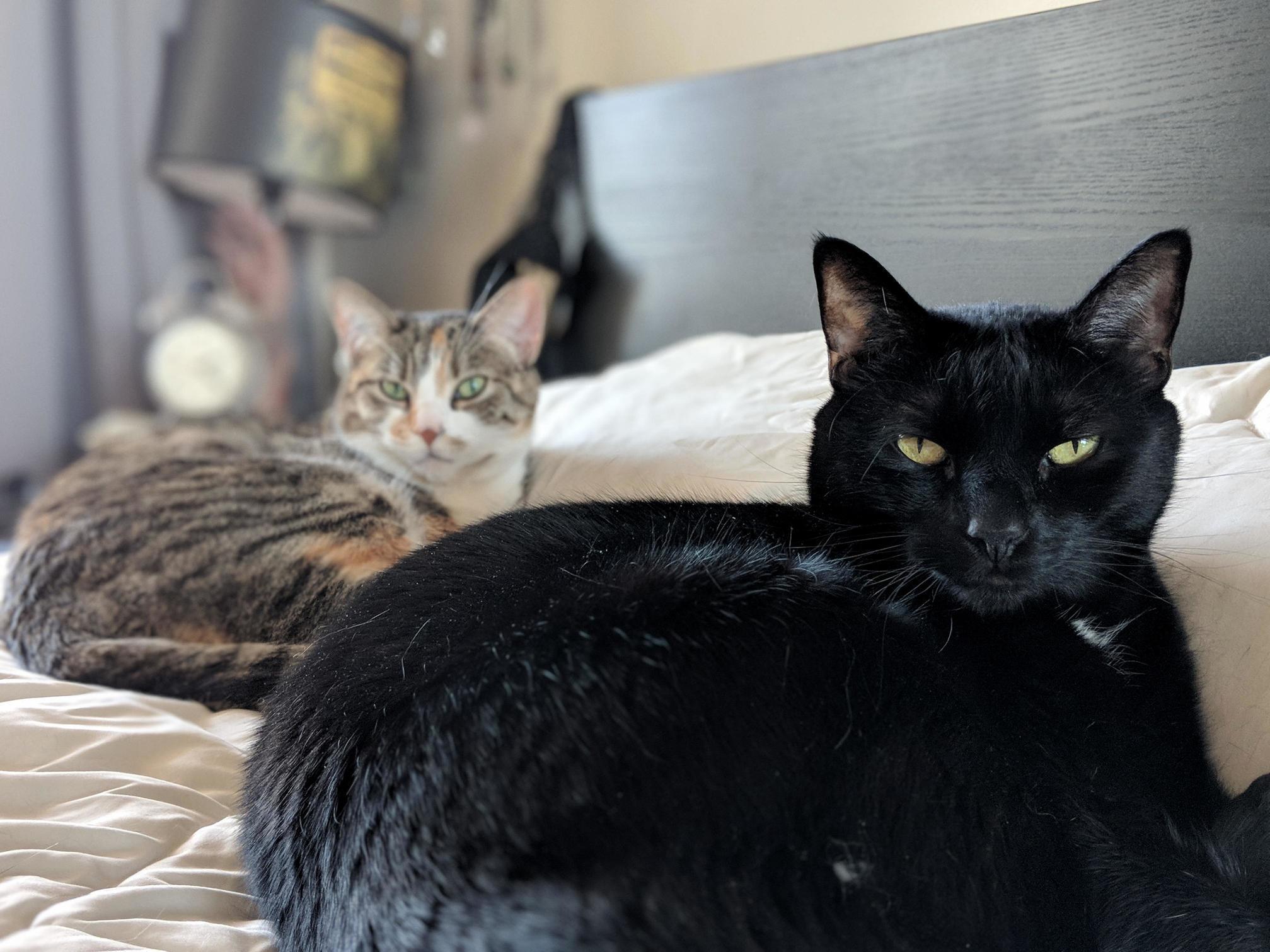 Doom and Emma. Theyre Sweethearts I Swear!
