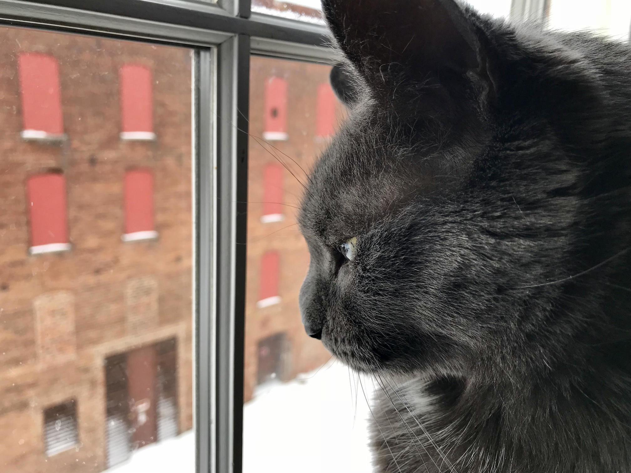 Enjoying the View.
